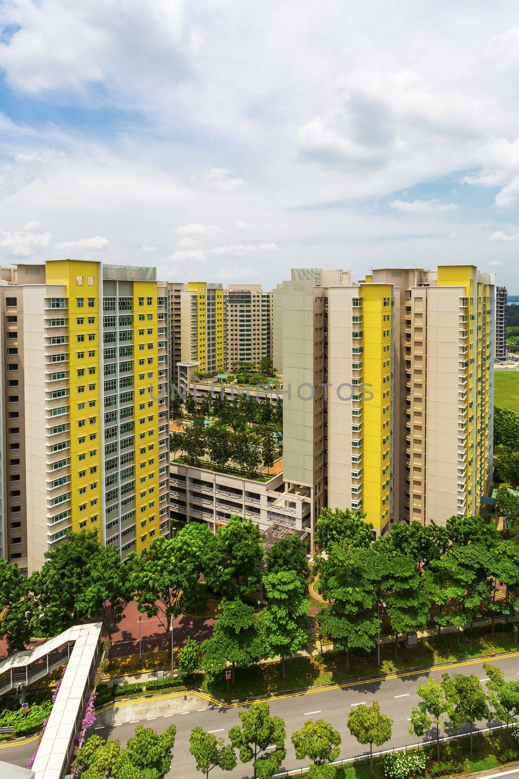 A vertical shot of a new colorful neighborhood estate among domestic garden in Singapore