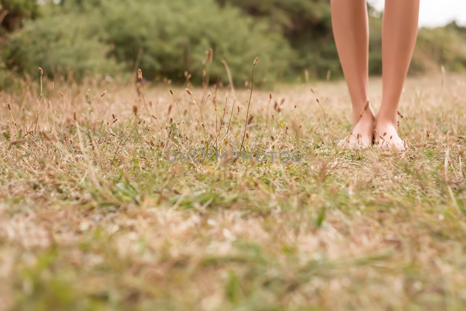 Young female legs walking on the grass by doble.d