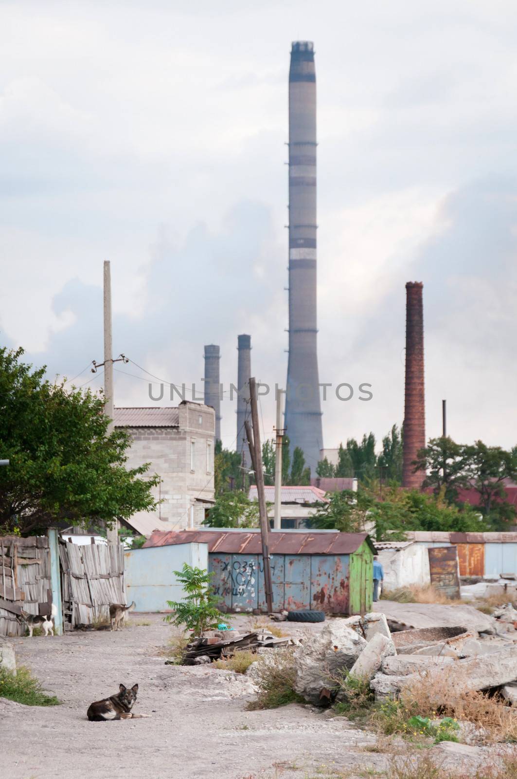 Metallurgical works with smoke with dwelling houses and dog on front. Mariupol, Ukraine