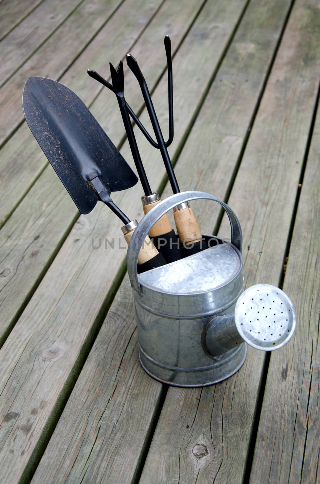 Gardening tools on wooden background