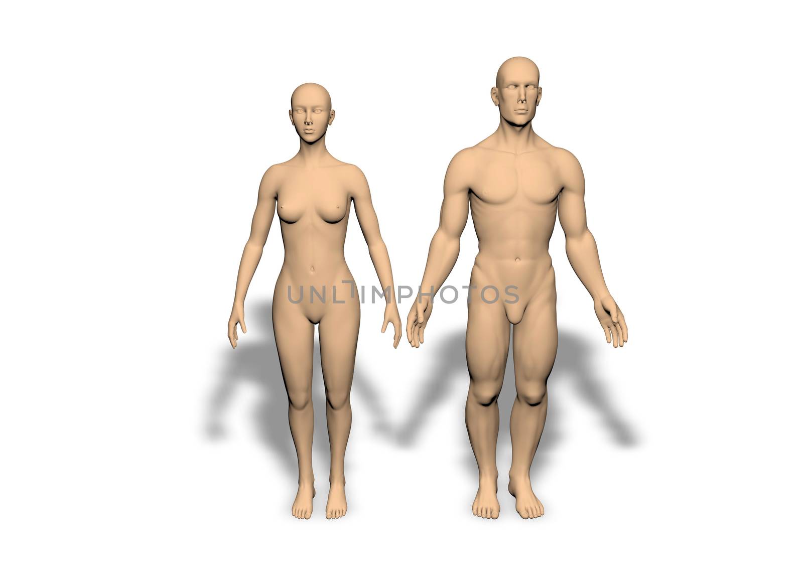 3D rendering of a nude male whit woman isolated on white background