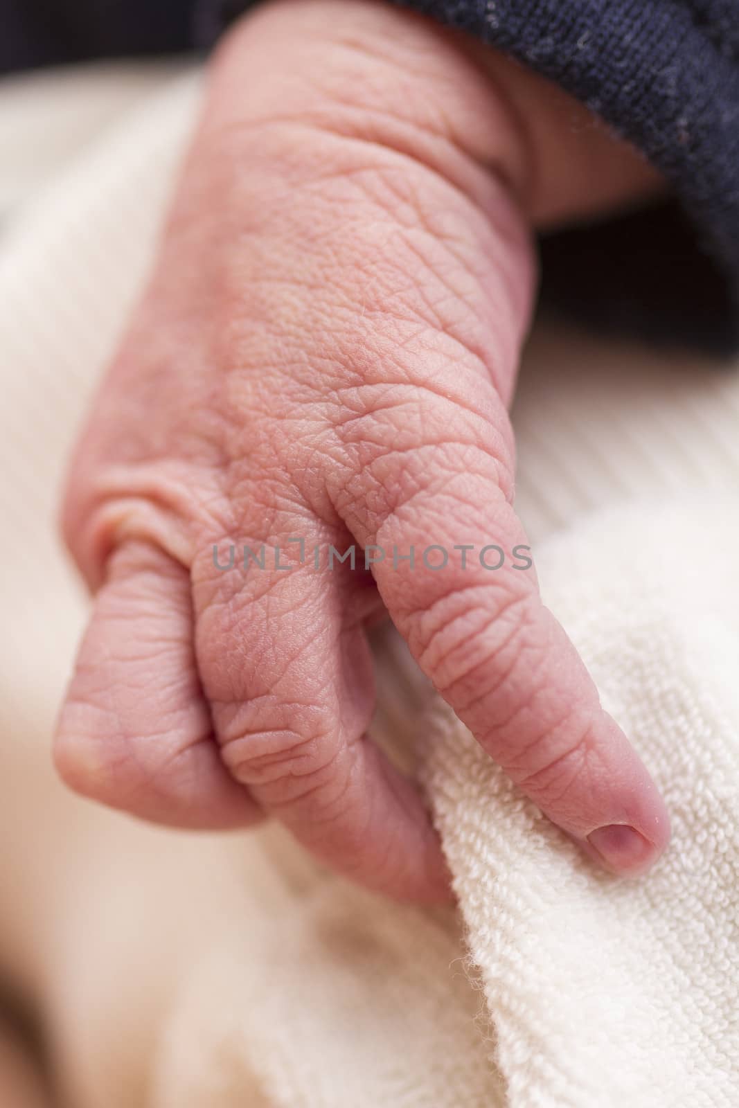 hand of new born baby in close up. vertical image