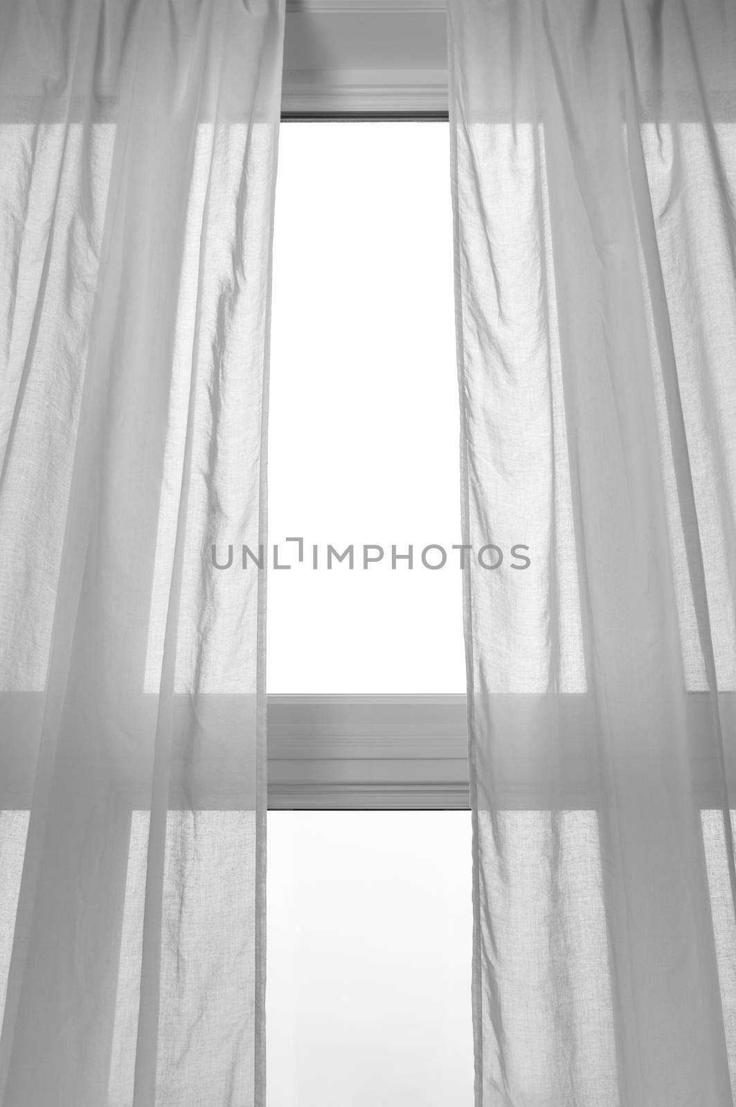 Light coming through the window with white transparent curtains.