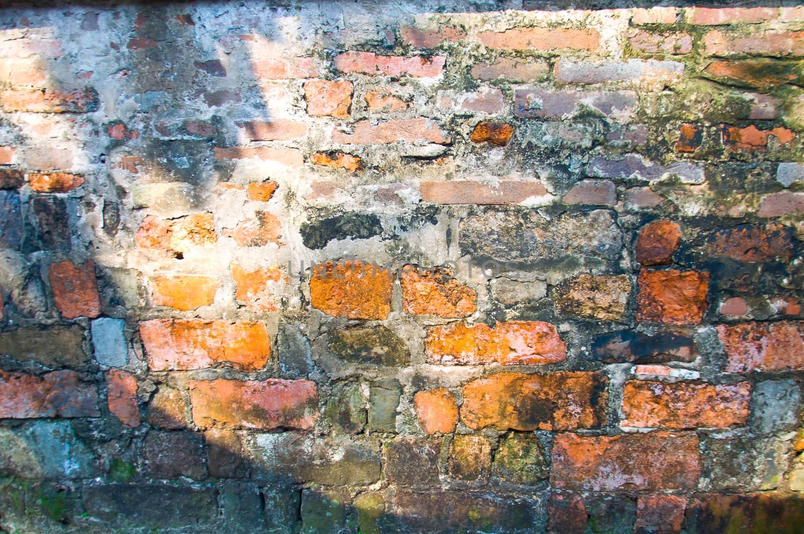 Old brick wall by buffaloboy