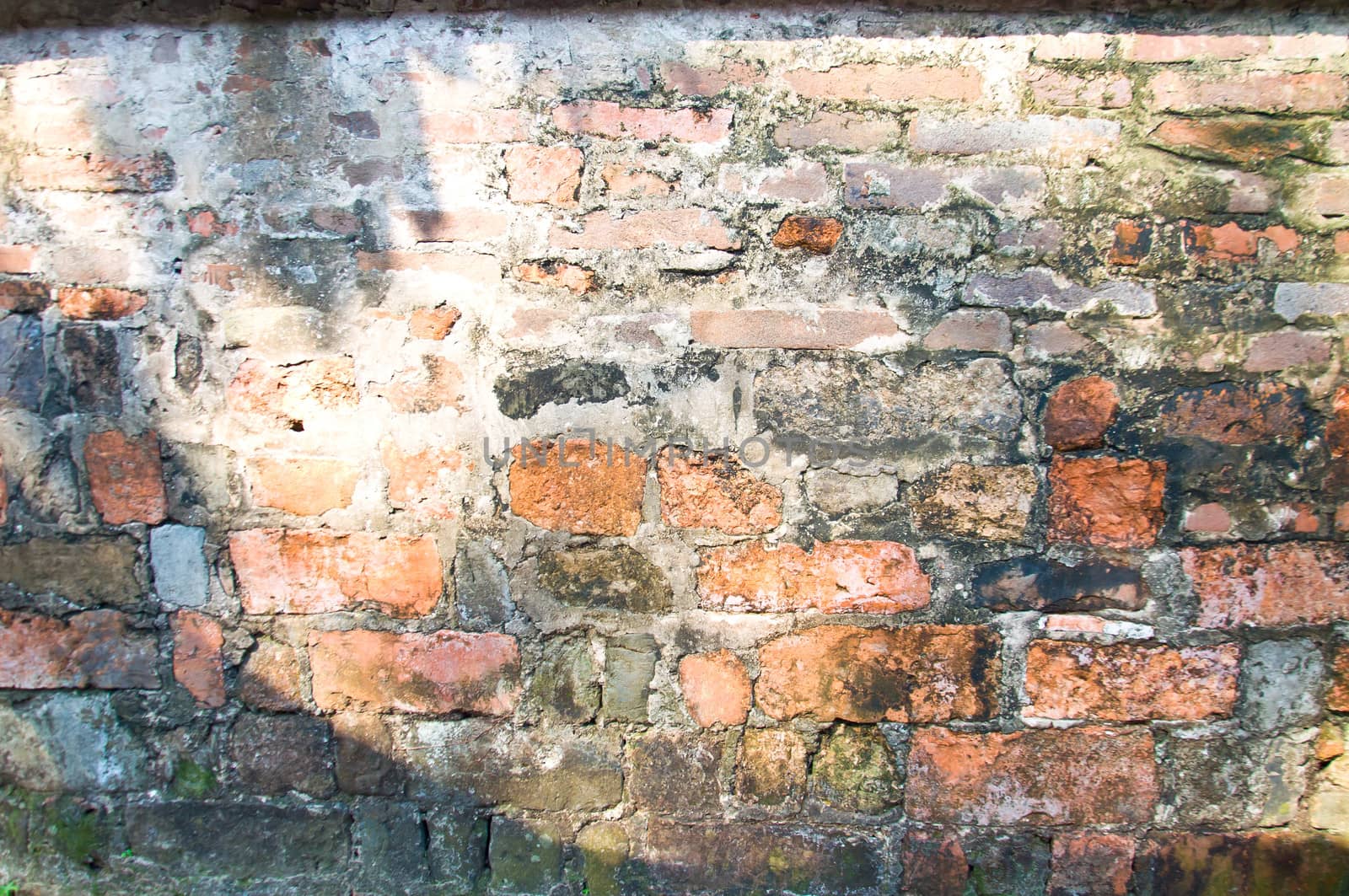 Old brick wall by buffaloboy