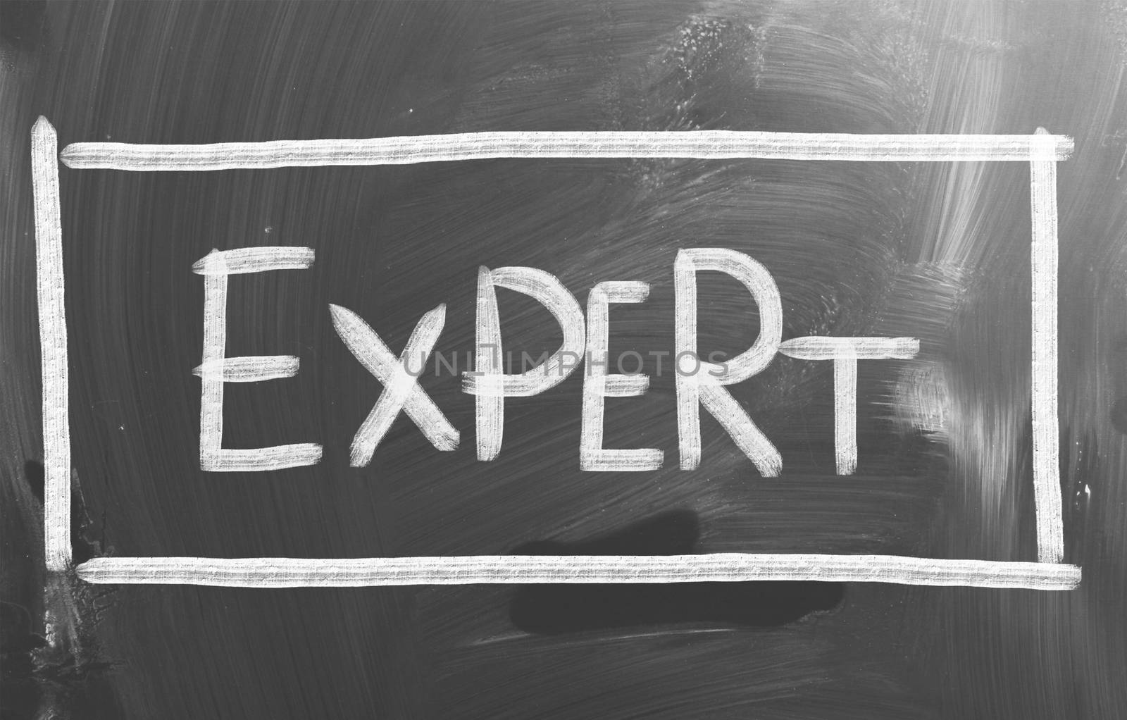 Expert Concept