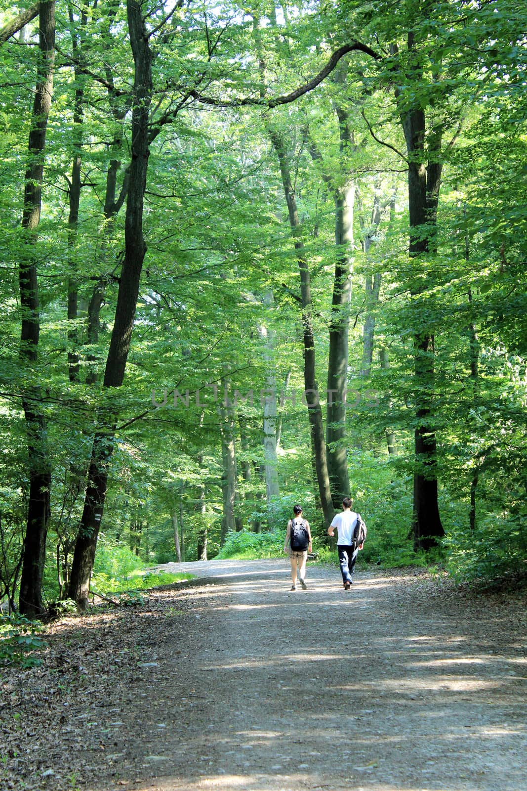 Couple trecking in famous forest park of Bratislava. Slovakia