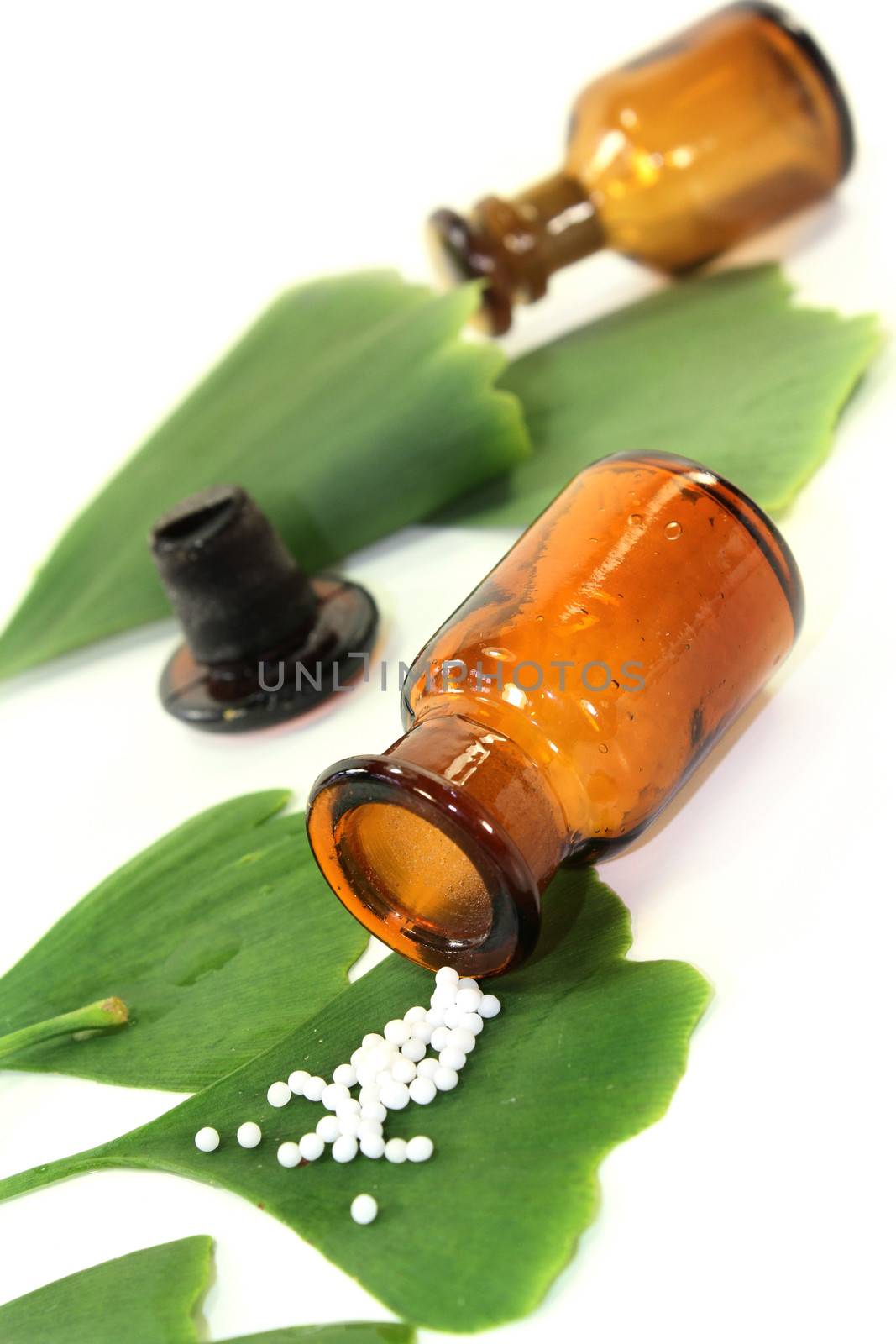 Ginkgo leaves with pharmacists bottle against white background