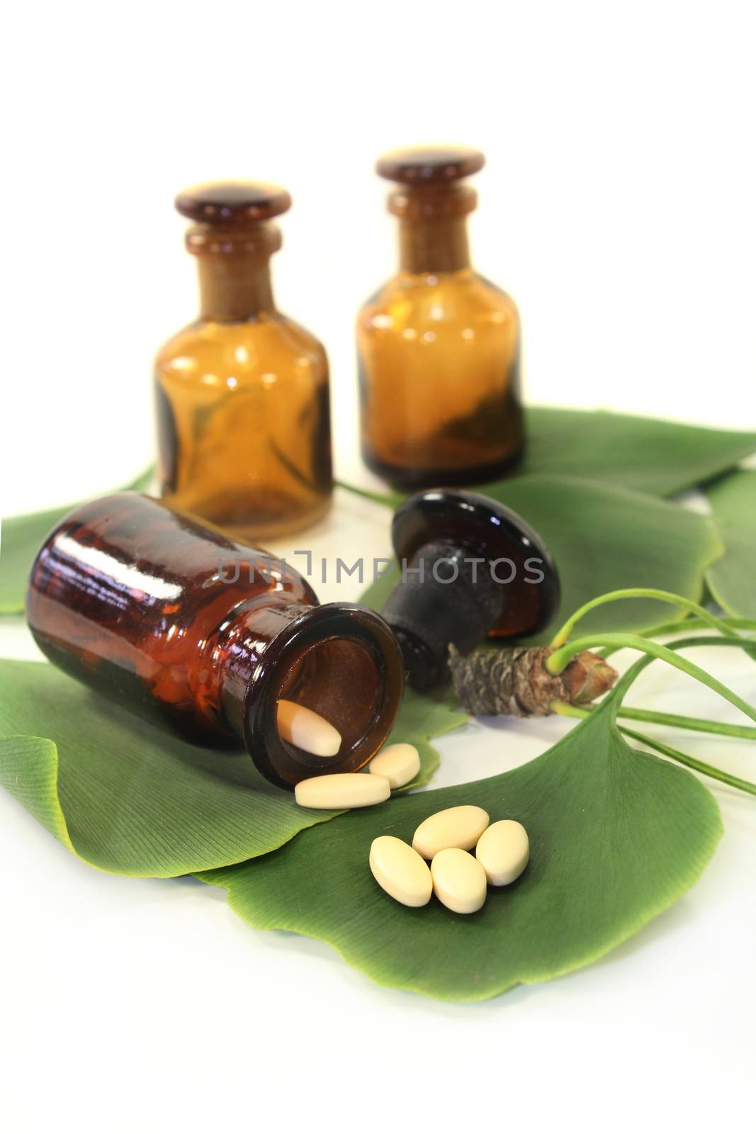 Ginkgo leaves with pharmacists bottle against white background