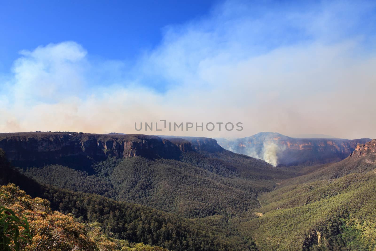 One of several fires burning in the Blue Mountains, west of Sydney.  Grose Valley, Wold Heritage area, looking north up Govett���s Gorge.  (October 2013)
