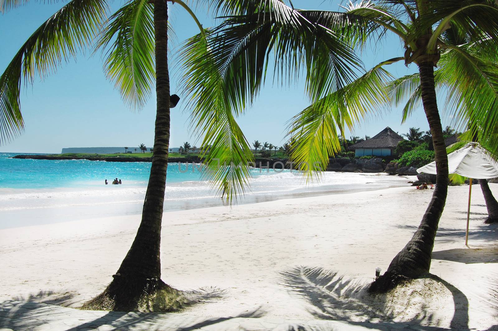 A beautiful tropical beach with palm trees