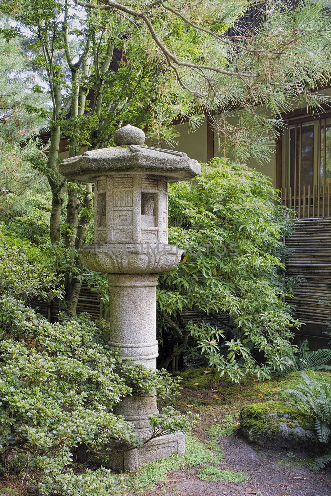 Japanese Stone Lantern in Garden with Trees Plants and Shrubs during Fall Season