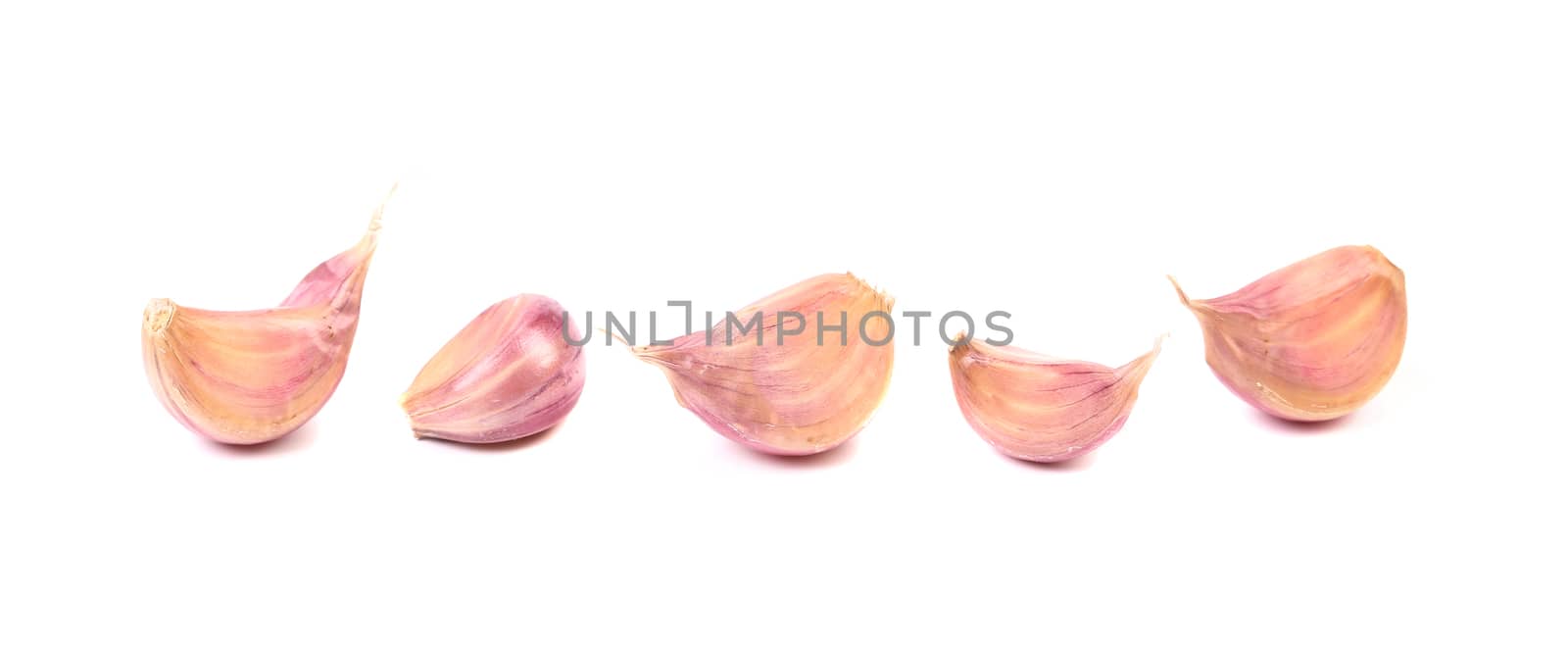 Garlic bulbs isolated on white background by indigolotos