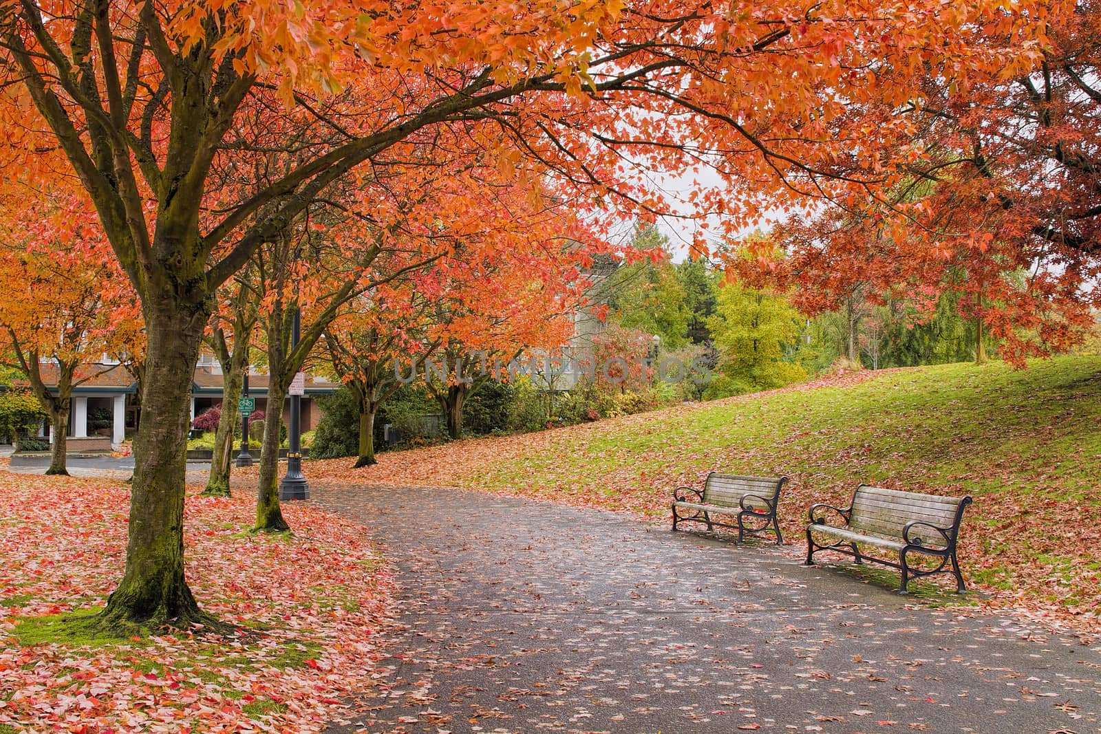 Walking and Biking Park Trails in Portland Oregon Downtown Waterfront in Fall Season