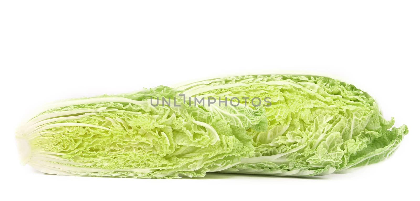 Tasty Chinese cabbage. Isolated on a white backgropund.