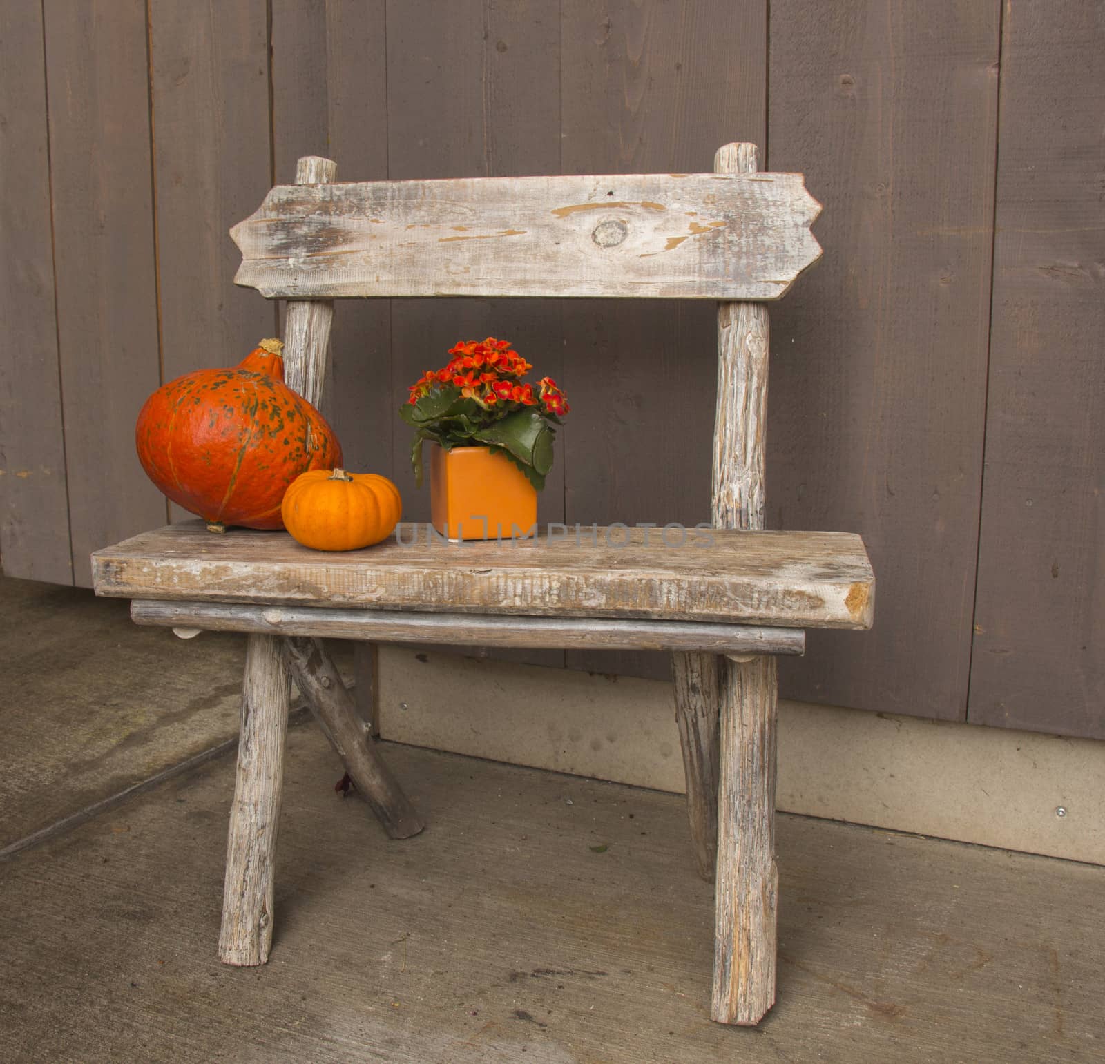 Small bench with pumpkin and flower decorations