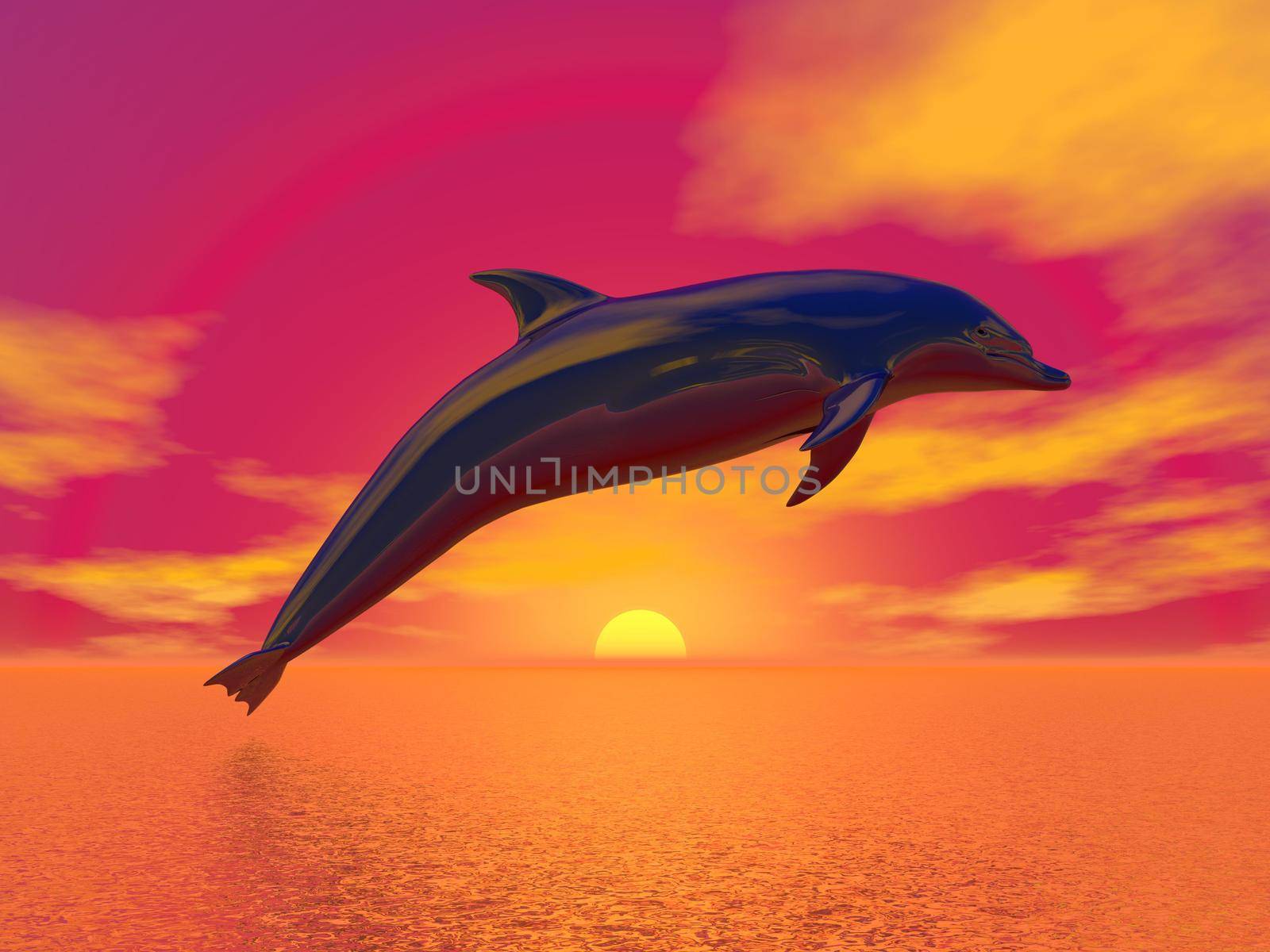 Dolphin jumping upon the ocean by beautiful red sunset