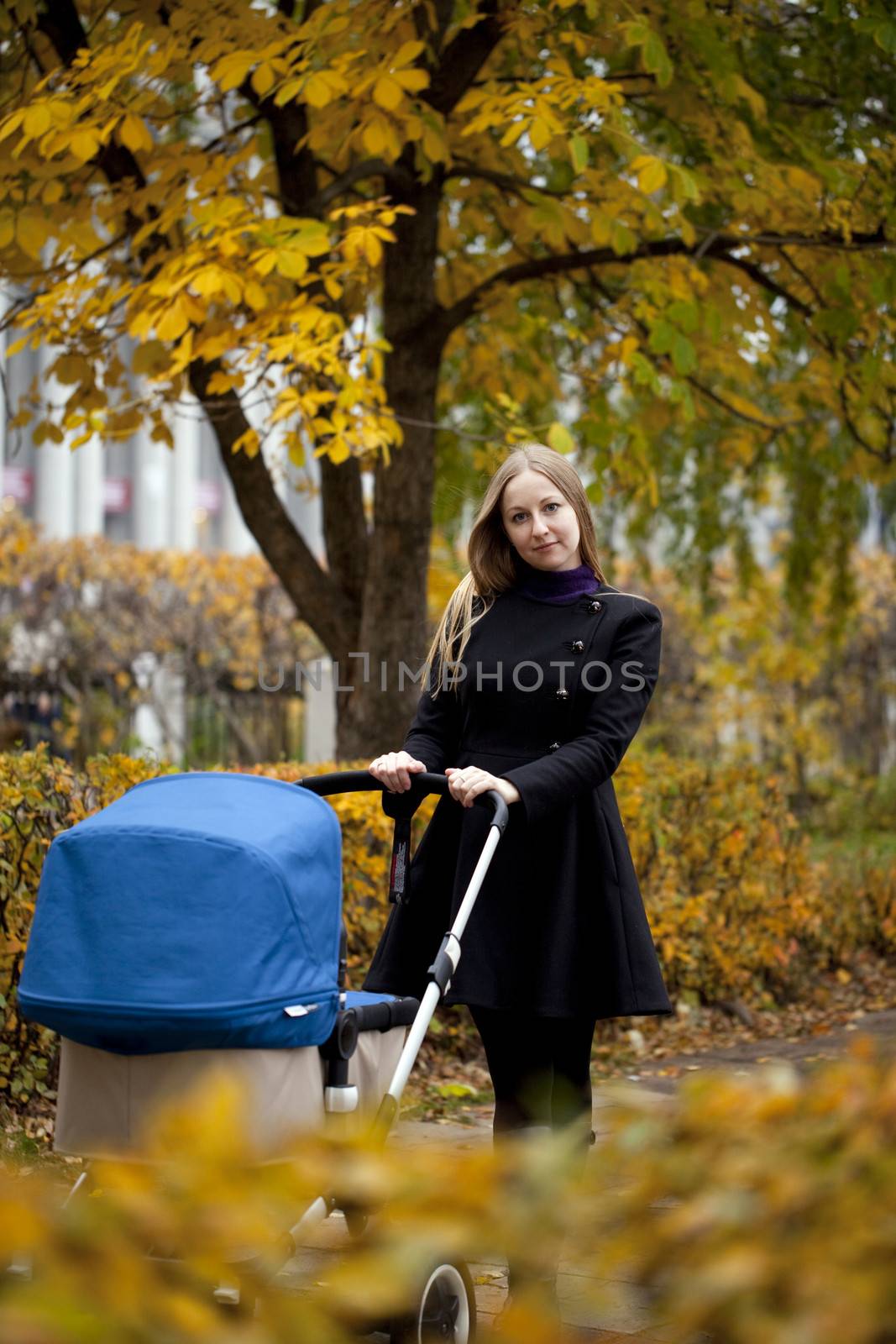 Mother with baby stroller for a newborn by andersonrise