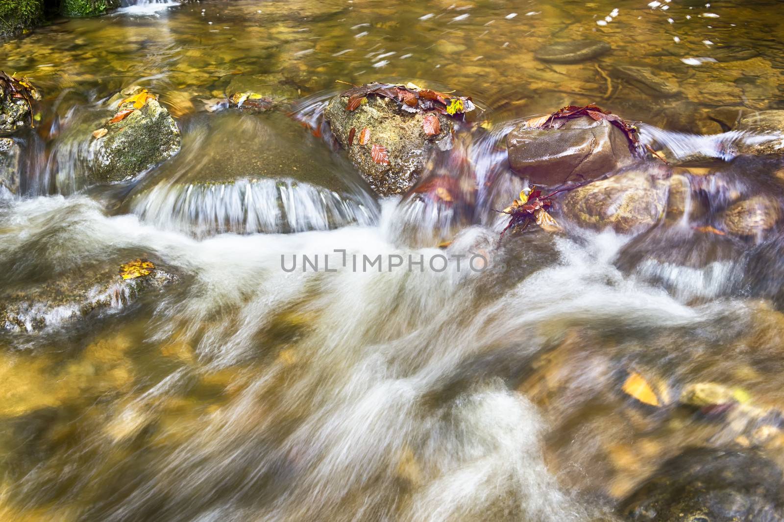 Closeup of a creek in a forest in summer with a long exposure time in the autumn.