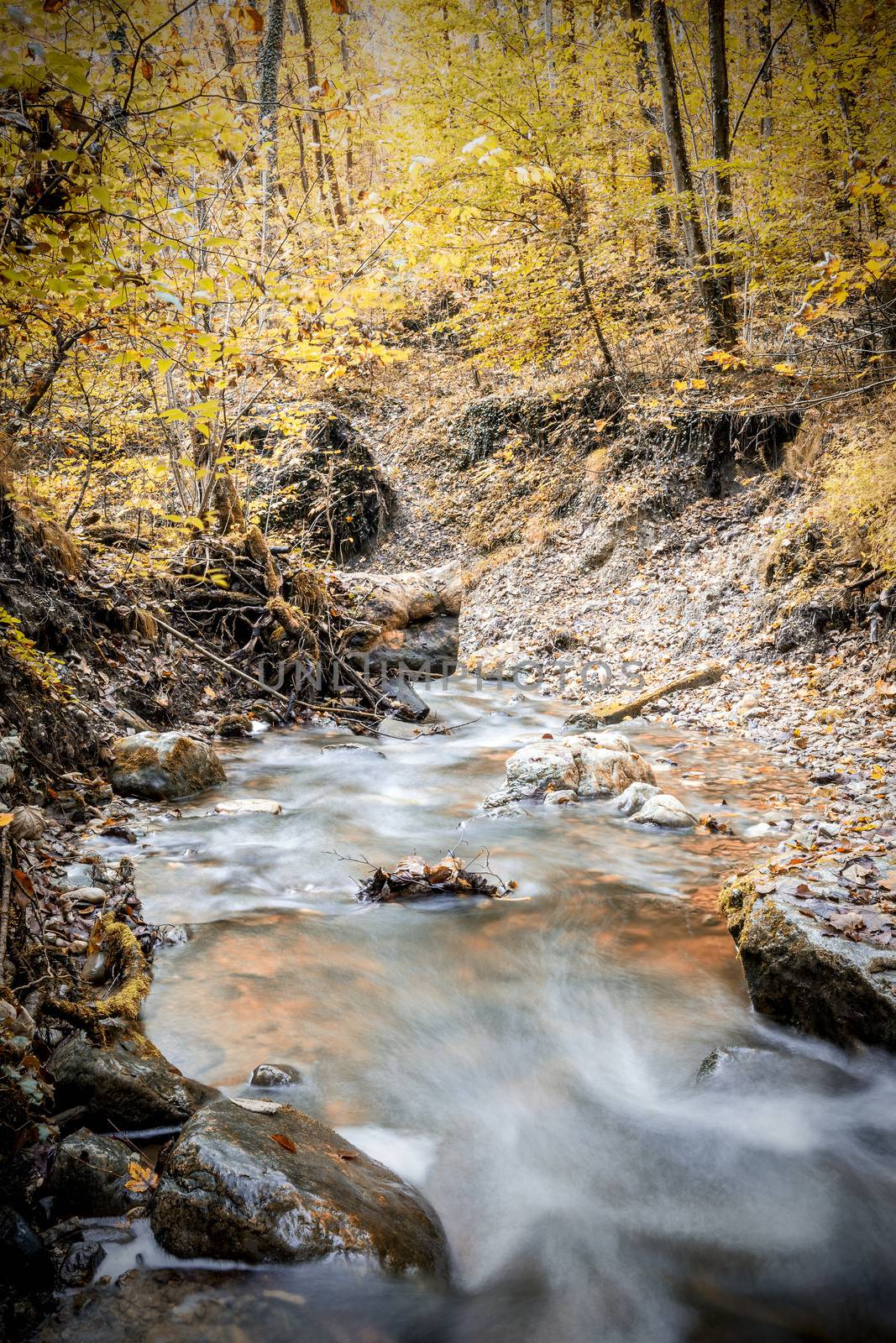 Picture of a creek in a forest in summer with a long exposure time in the autumn.