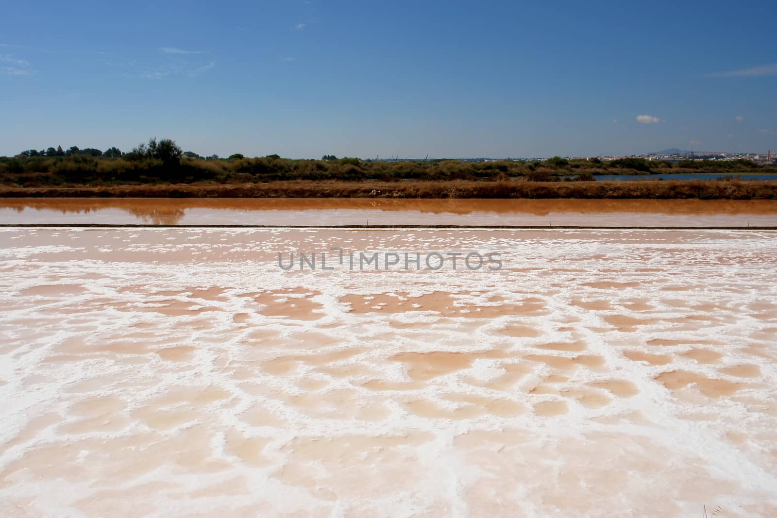 Saline marshes of cousine salt production in Tavira, Ria Formosa, Algarve, Portugal