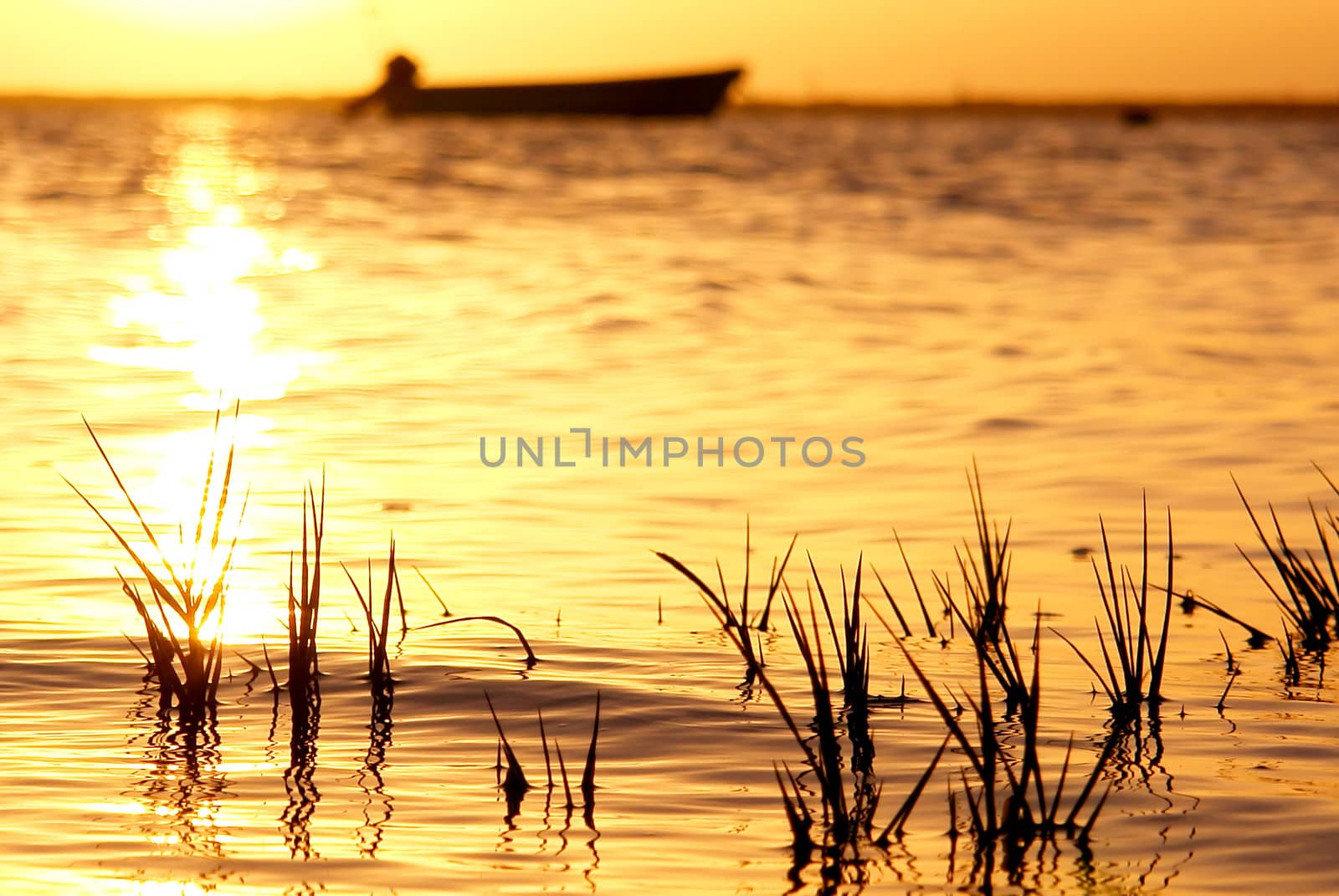 Sunrise in Ria Formosa, natural conservation region in Algarve, Portugal. 