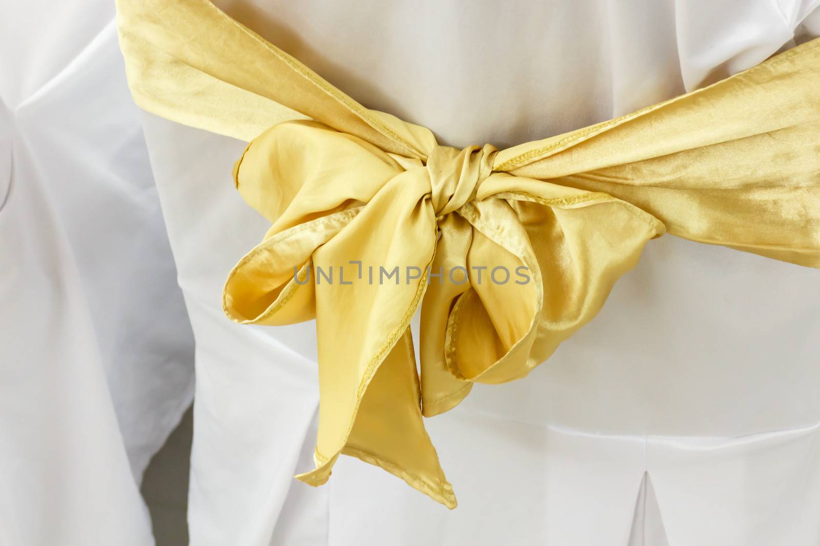Decorated chairs with golden color ribbon