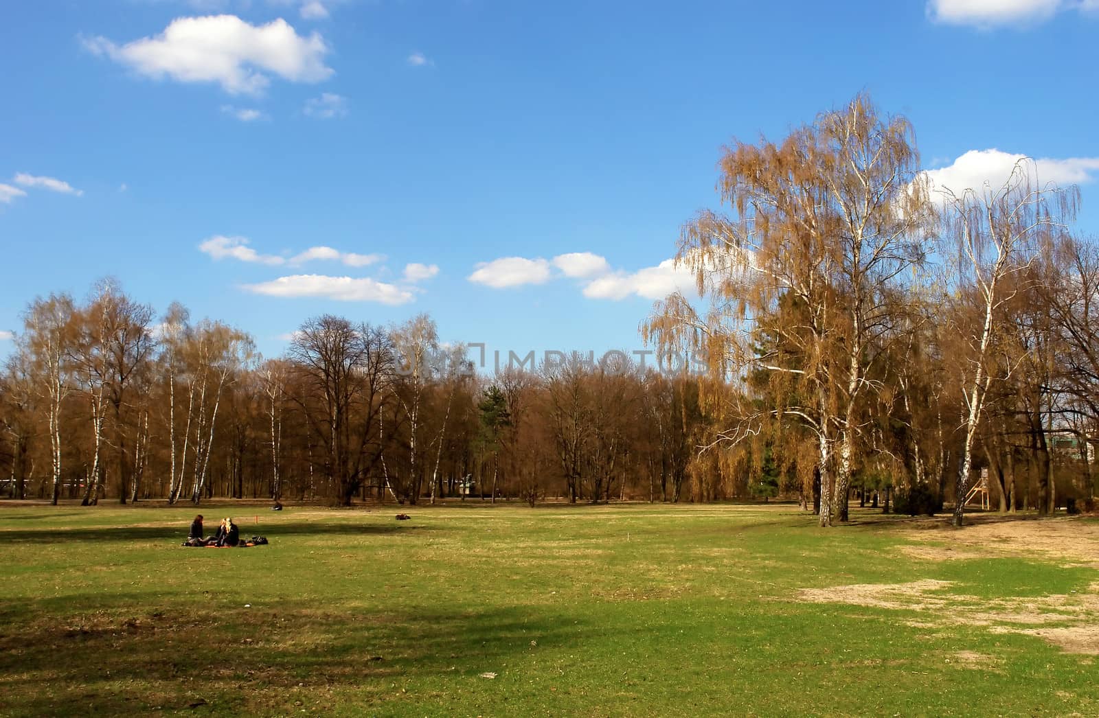 Tiergarten center city park, Berlin, Germany.
