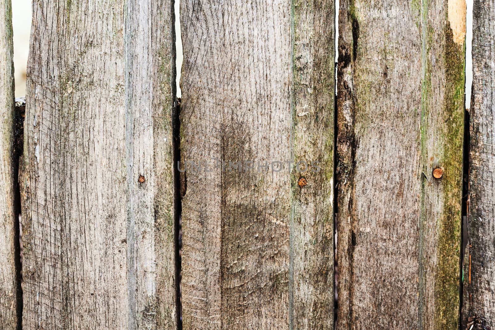 old, grunge wood panels used as background