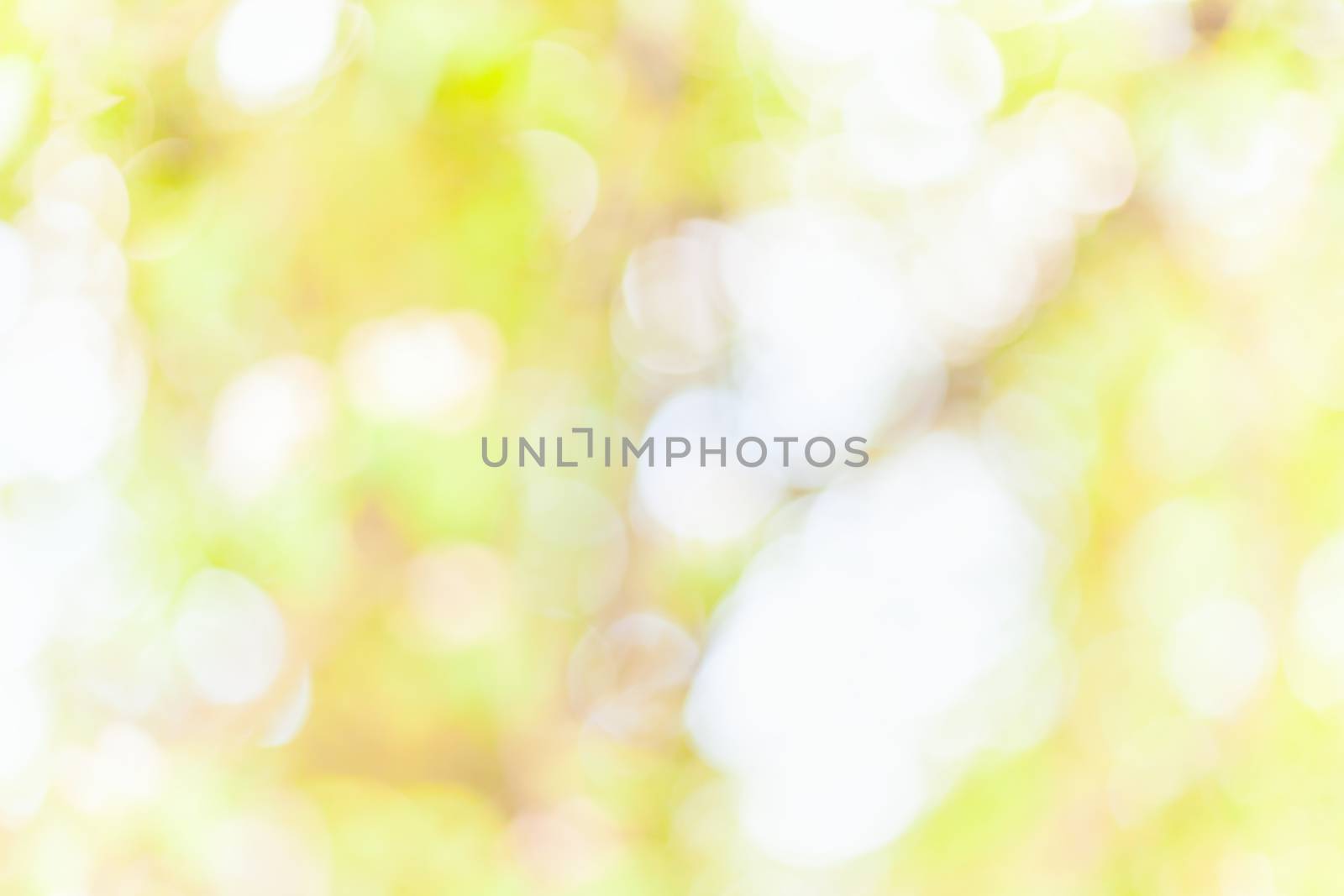 Festive winter gold abstract. background with bokeh by sfinks