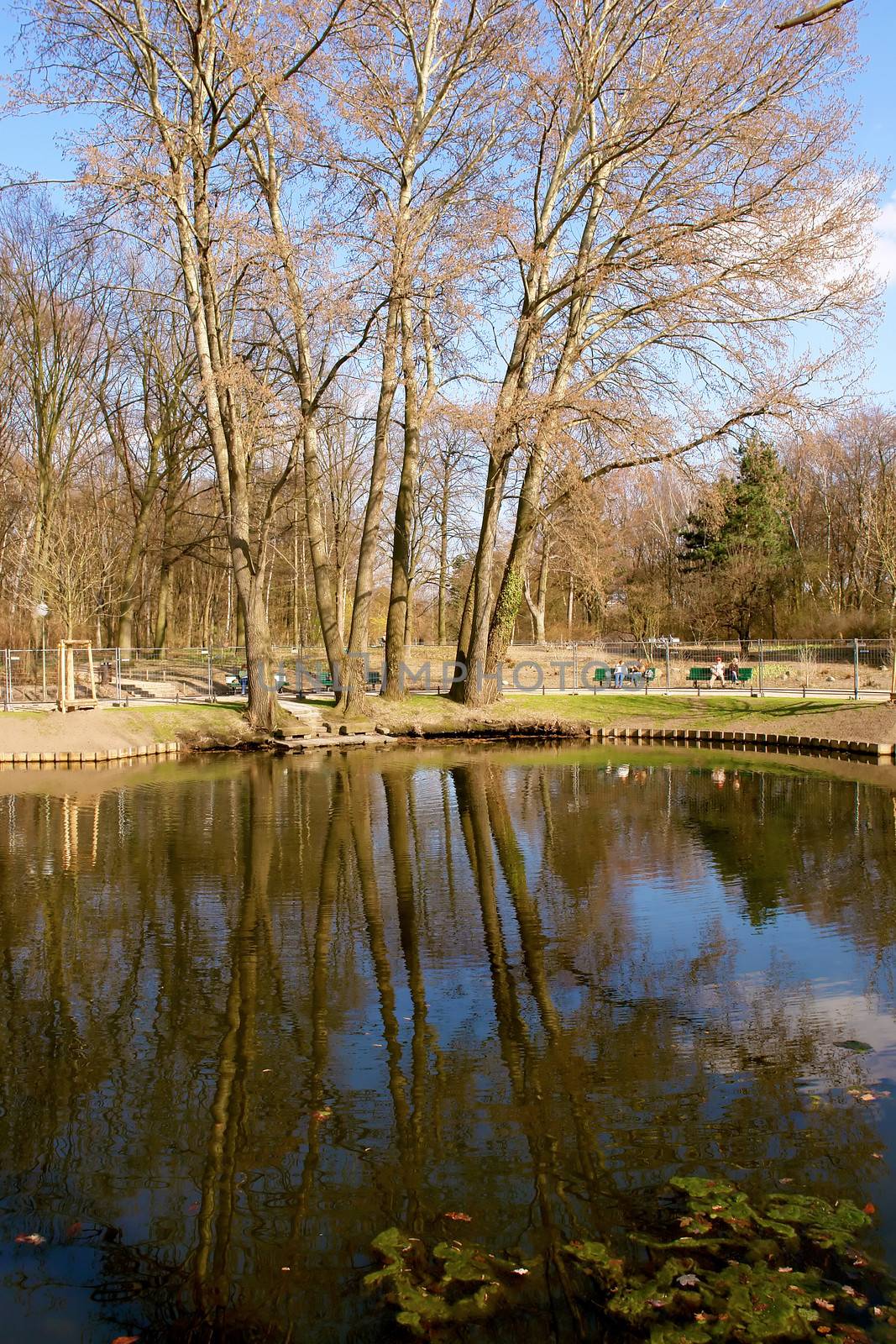 Tiergarten center city park, Berlin, Germany.
