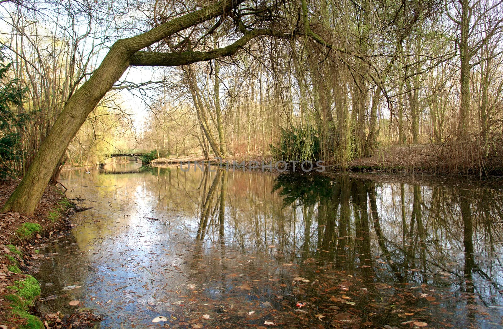 Tiergarten center city park, Berlin, Germany.
