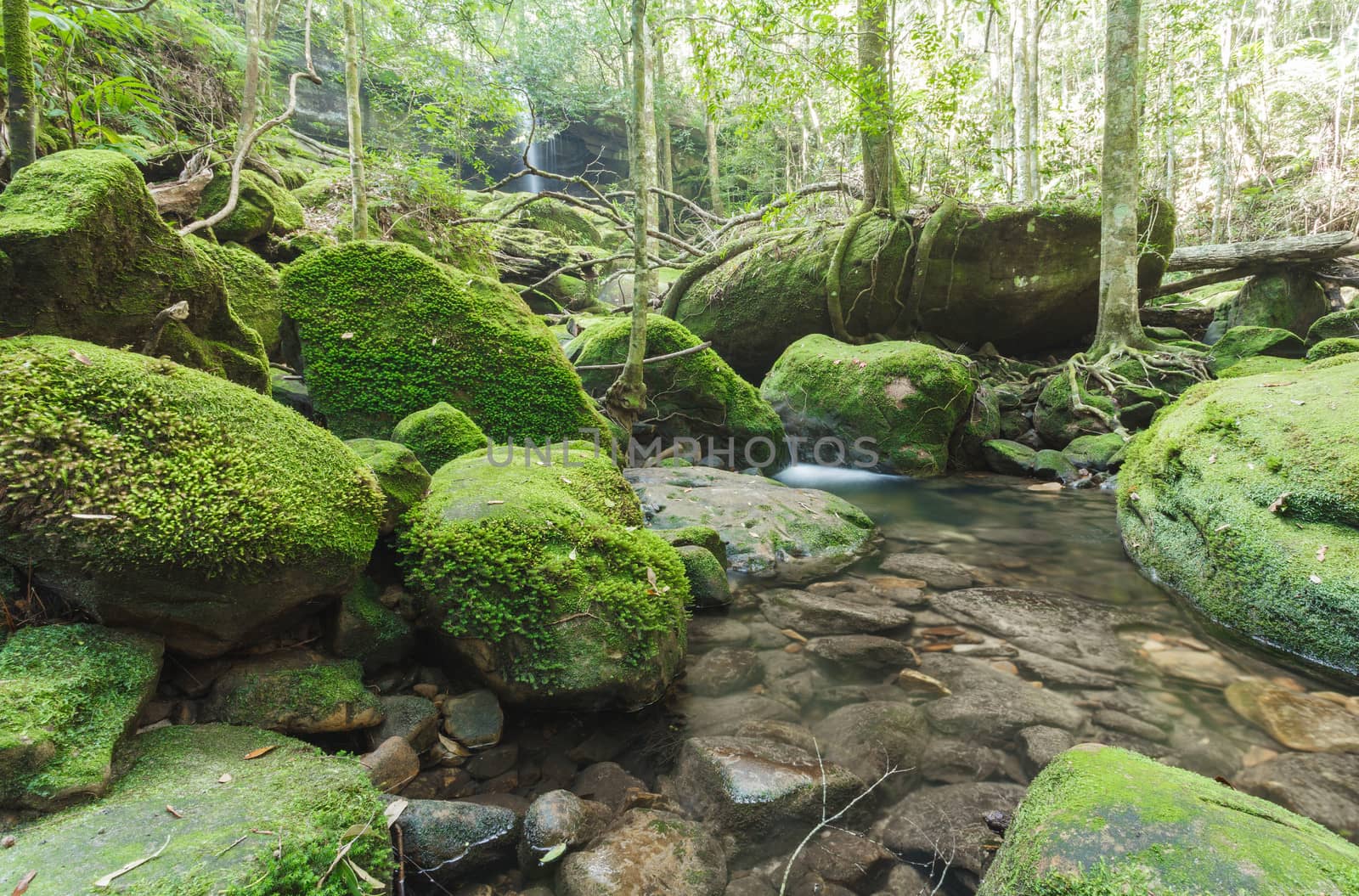 Waterfall in the jungle, Thailand