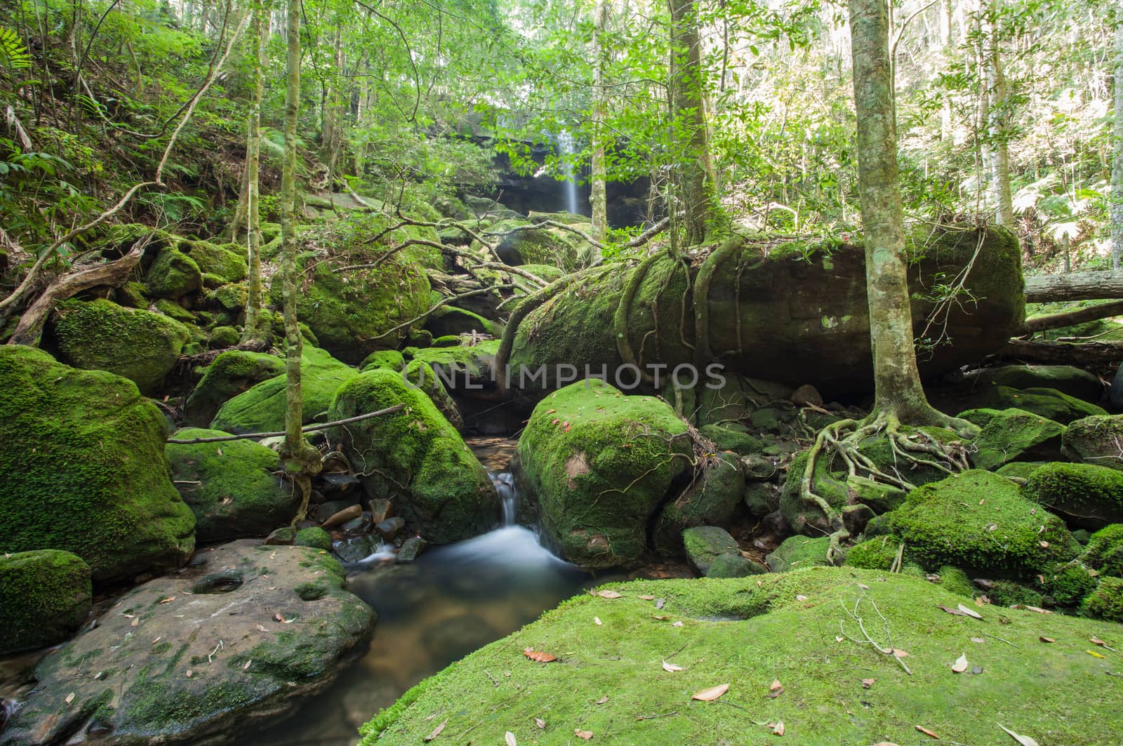 Waterfall in the jungle, Thailand