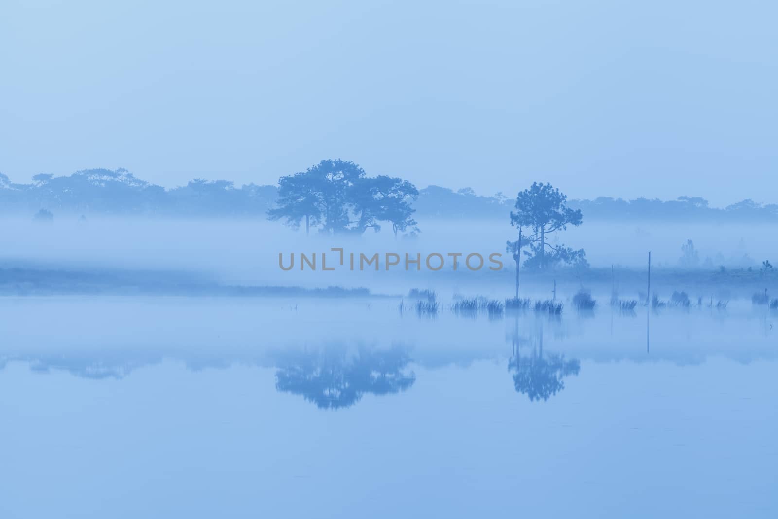 Early morning on river