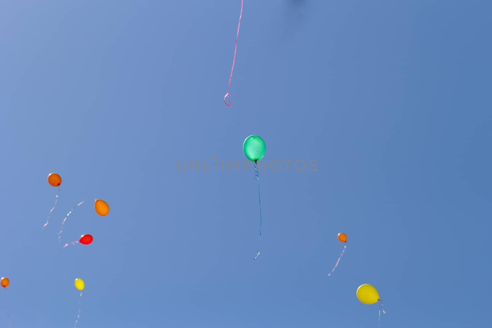 color balloons flying to the sky