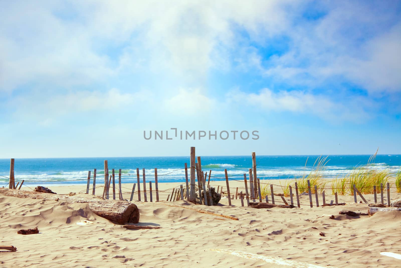 Sandy ocean shoreline with dunes and grassy edge, fencing by jarenwicklund