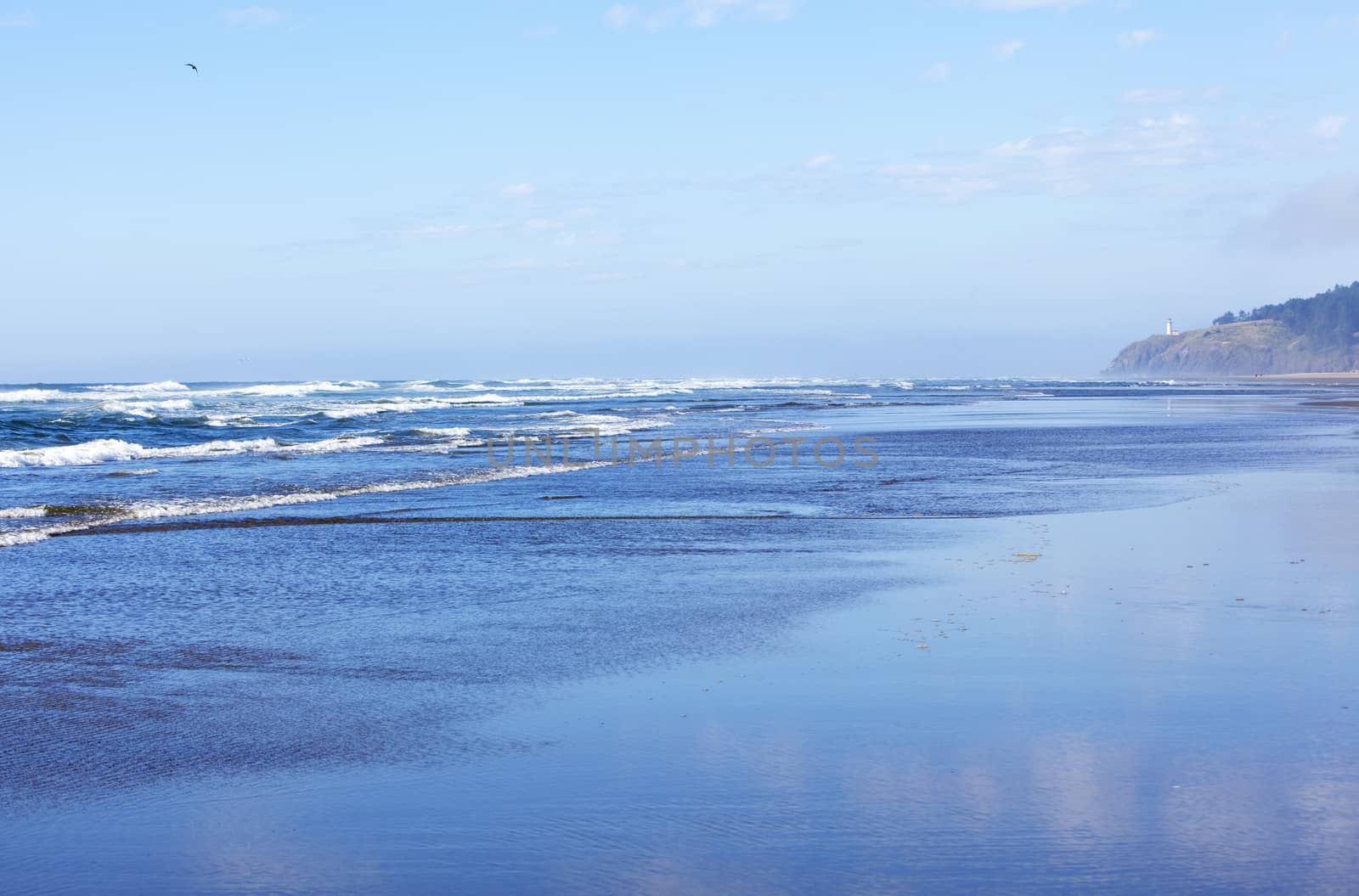 Oregon coastline, waves gently washing onto beach, blue skies