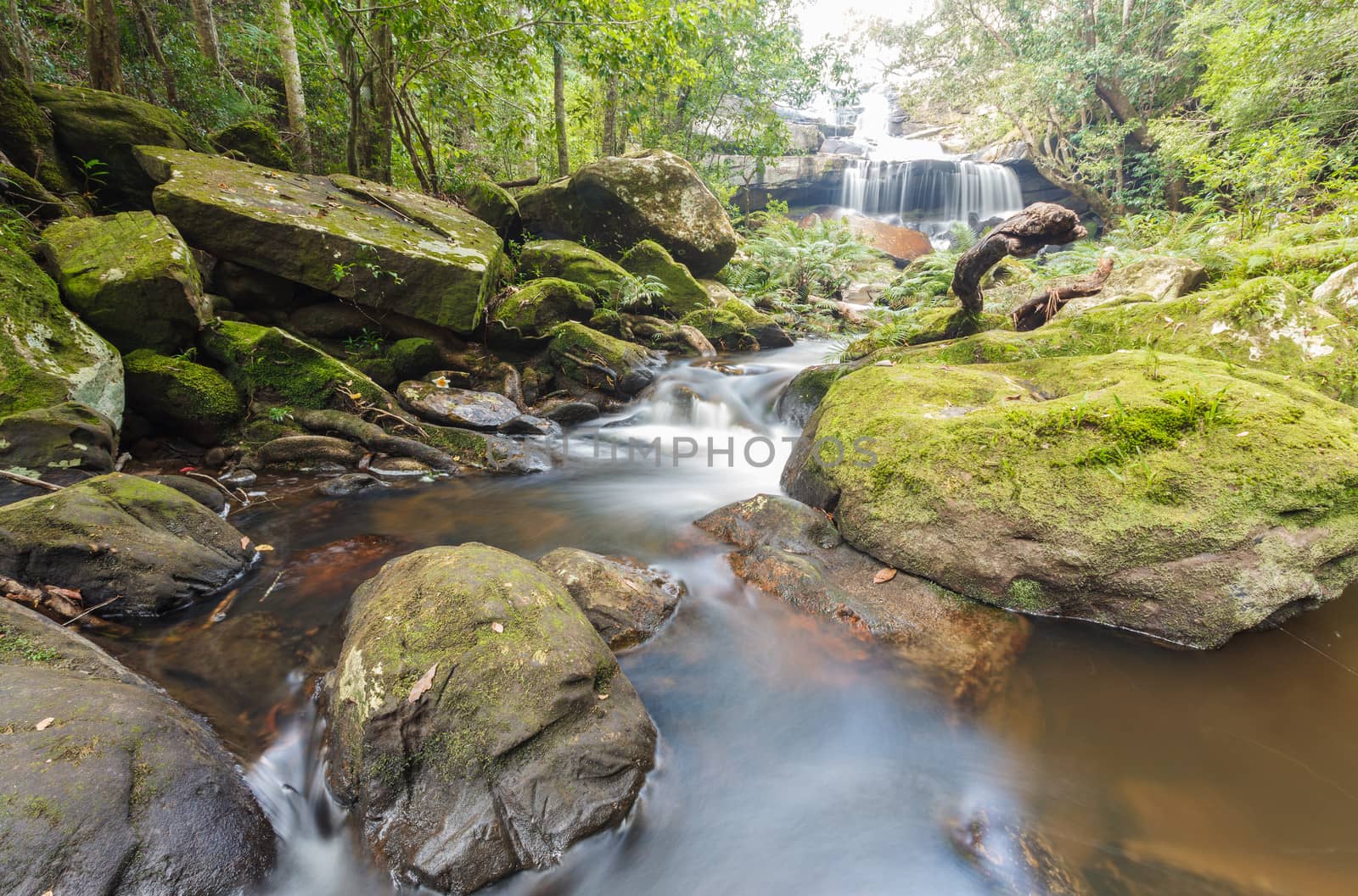 Waterfall in the jungle, Thailand