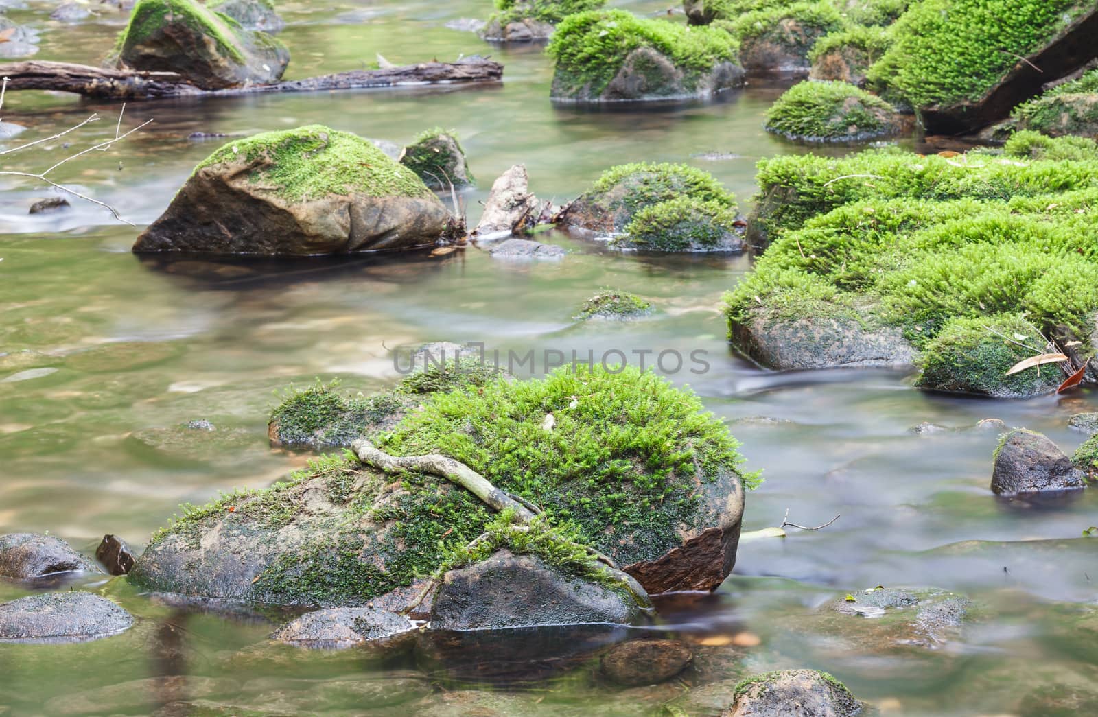 Moss covered rocks in river by panyajampatong