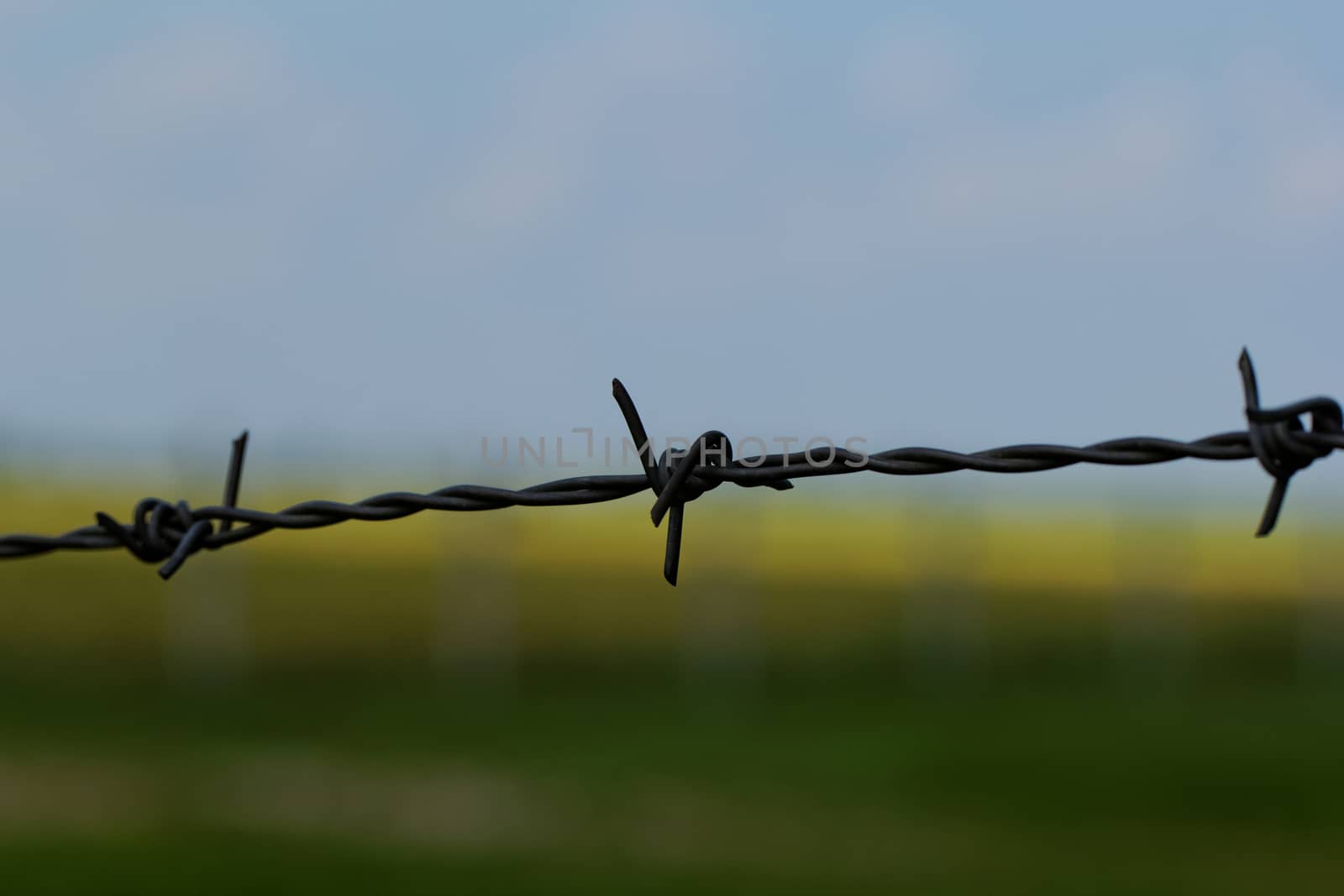 barbed wire defending the industries
