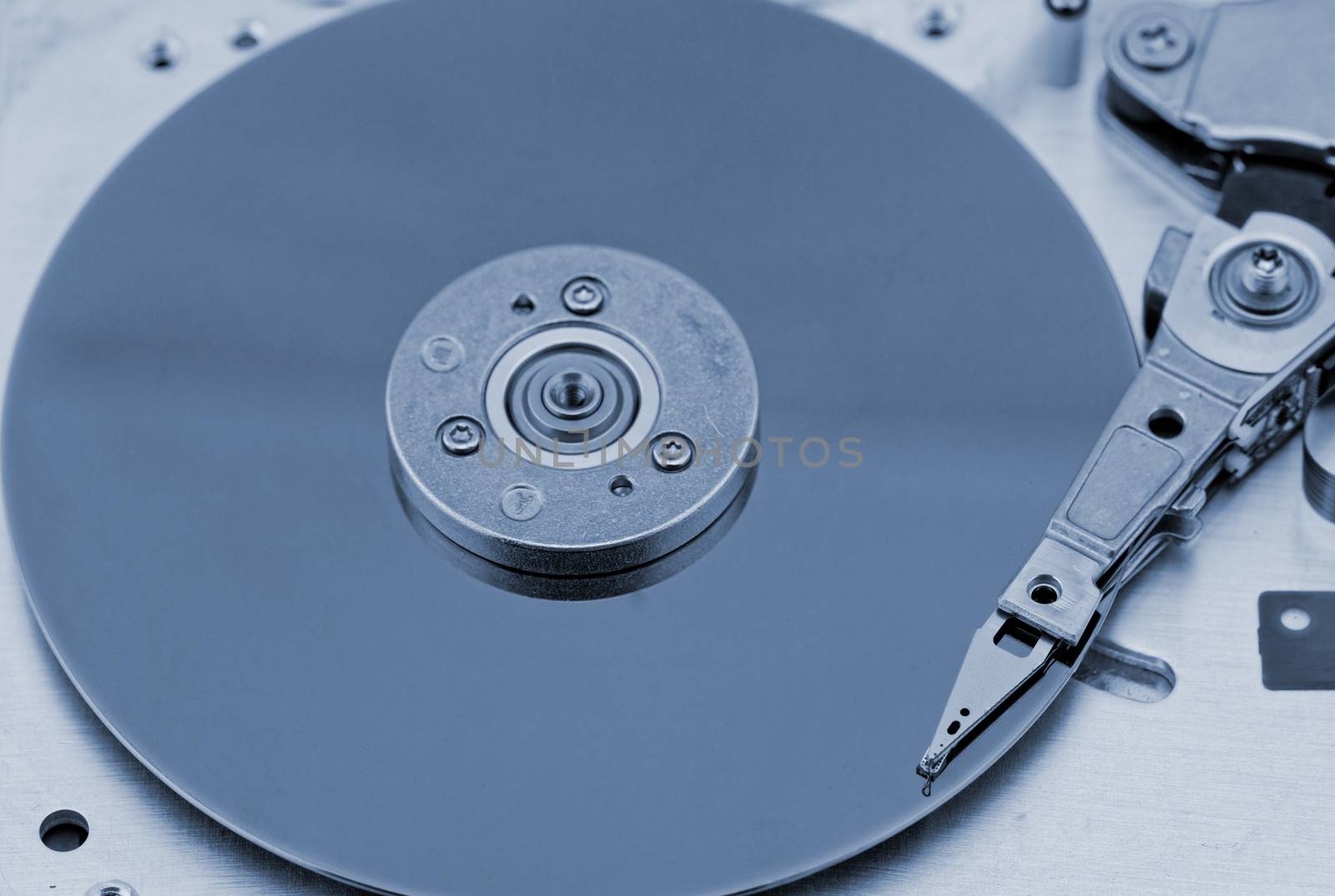 Open computer hard drive on white background by NagyDodo