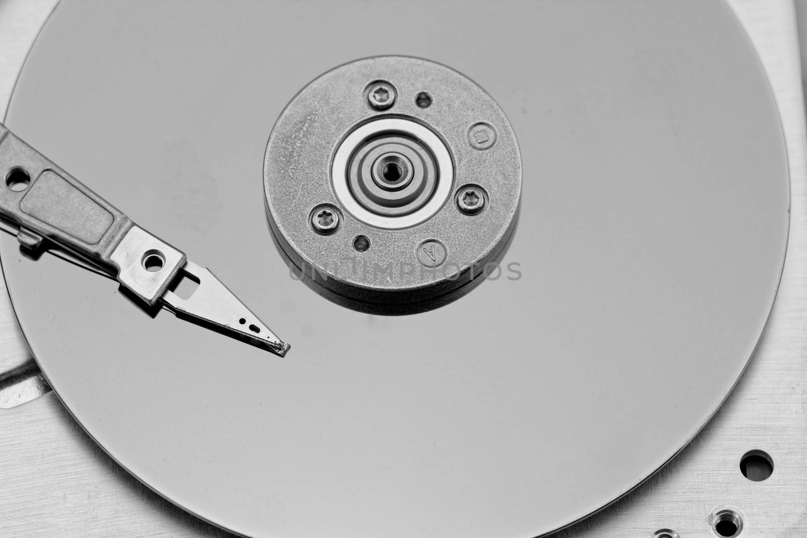 Open computer hard drive on white background in bw color (HDD, Winchester)