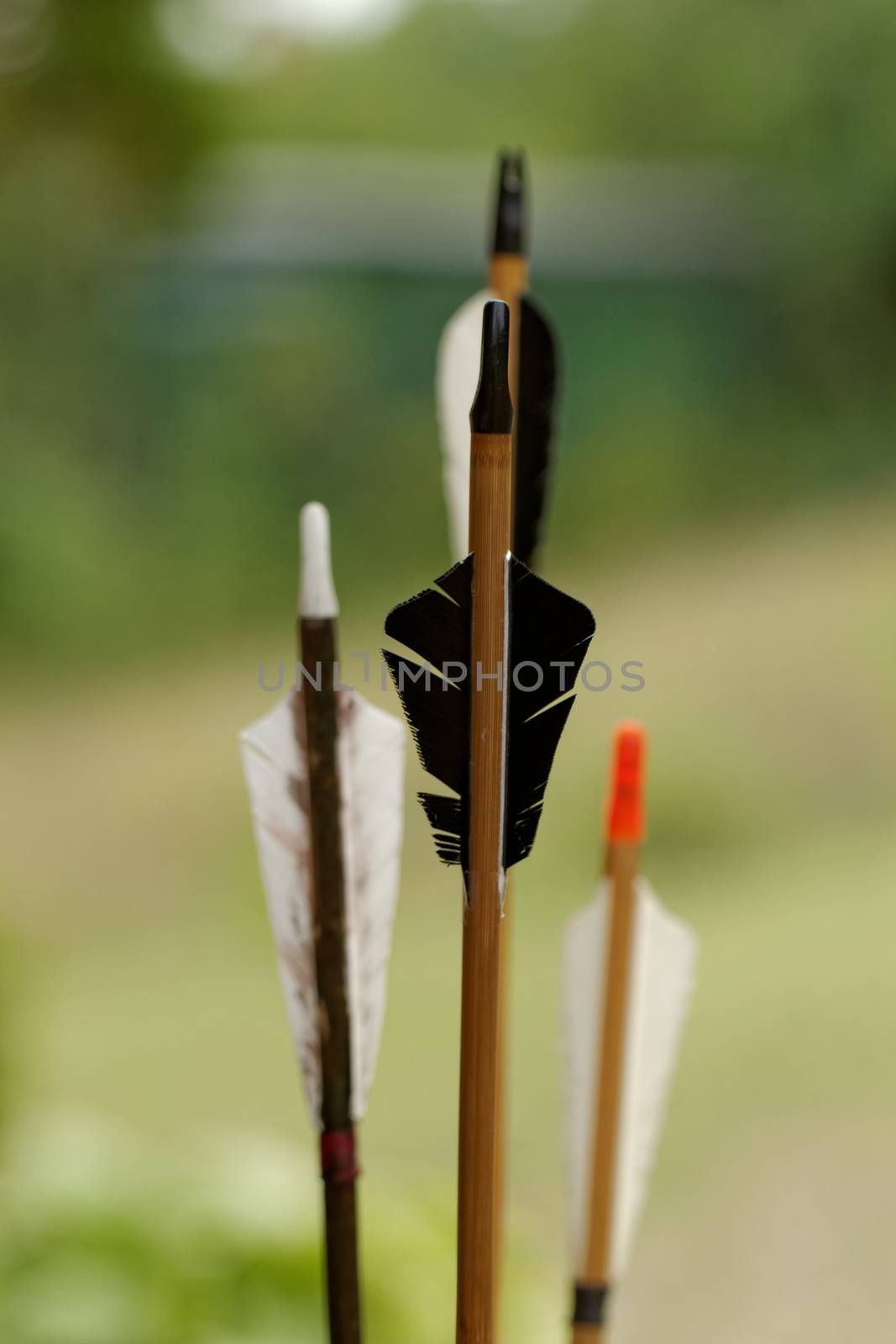 color archery arrows in nature on the ground