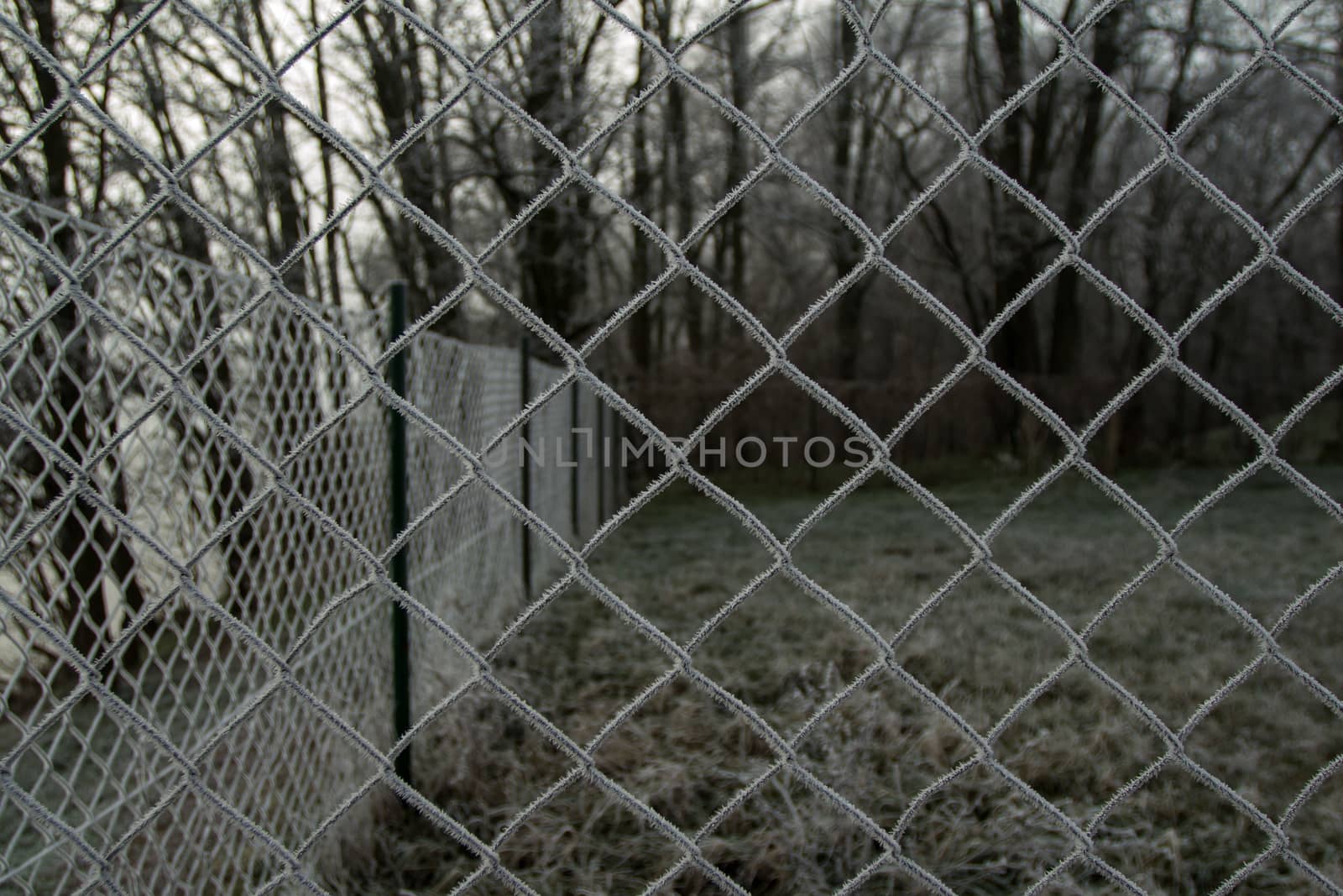 wire fence texture with hoarfrost overlay