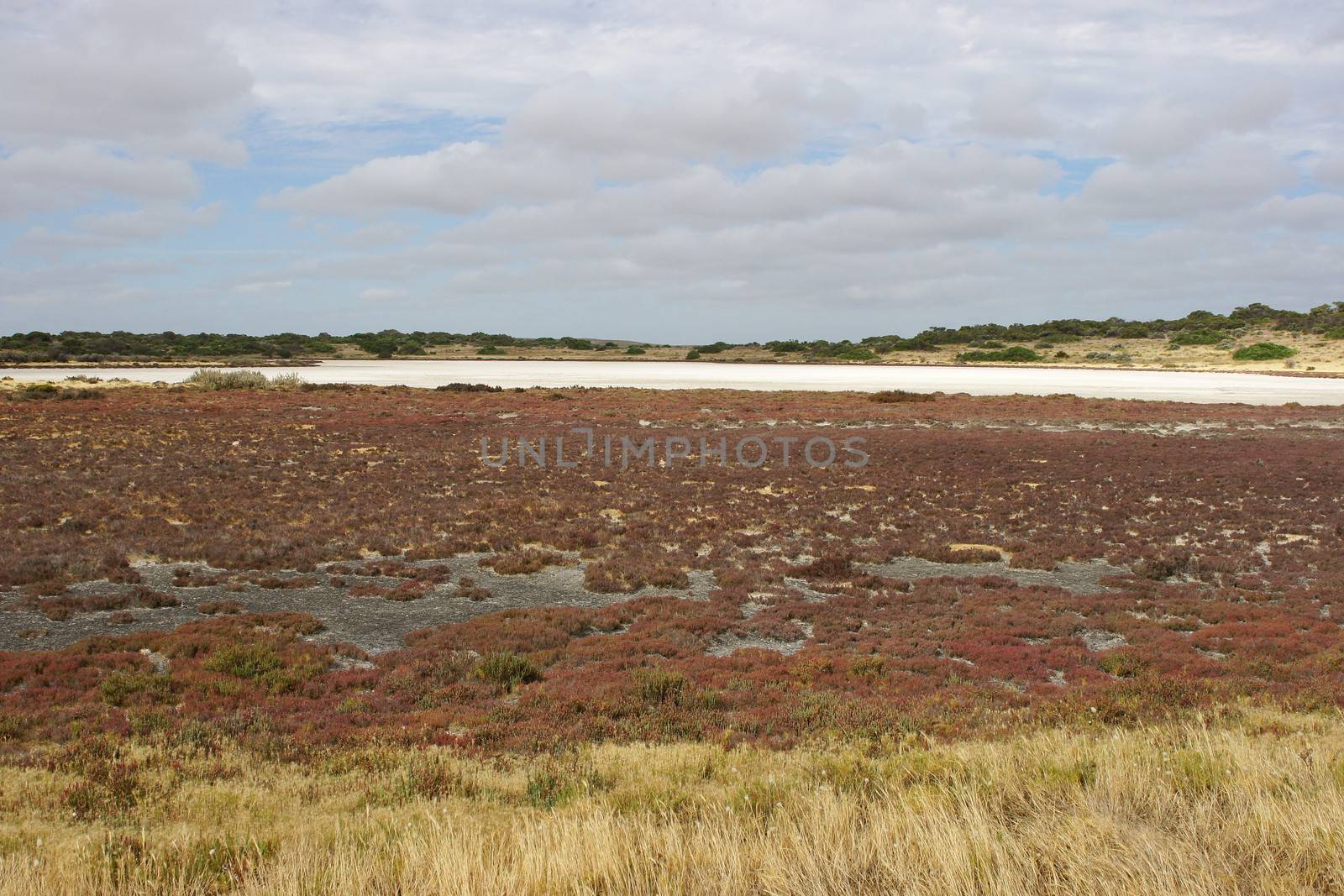 Typical landscape of Coorong National Park, Australia