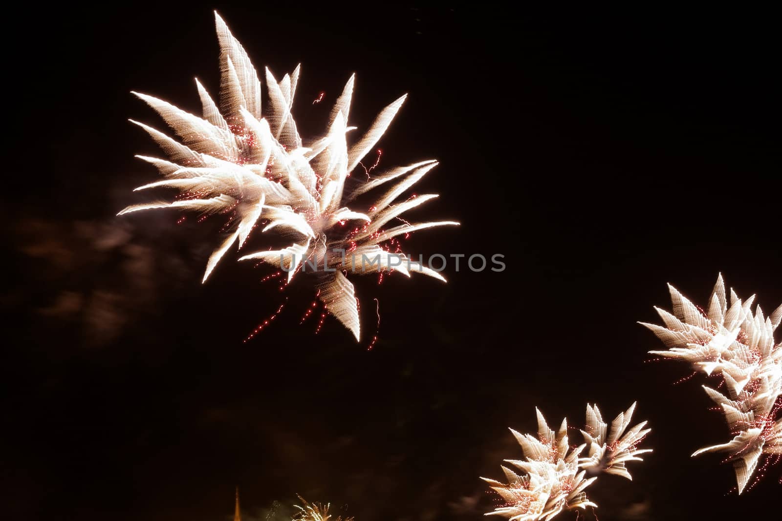 beauty colorful Fireworks Against a Black Sky