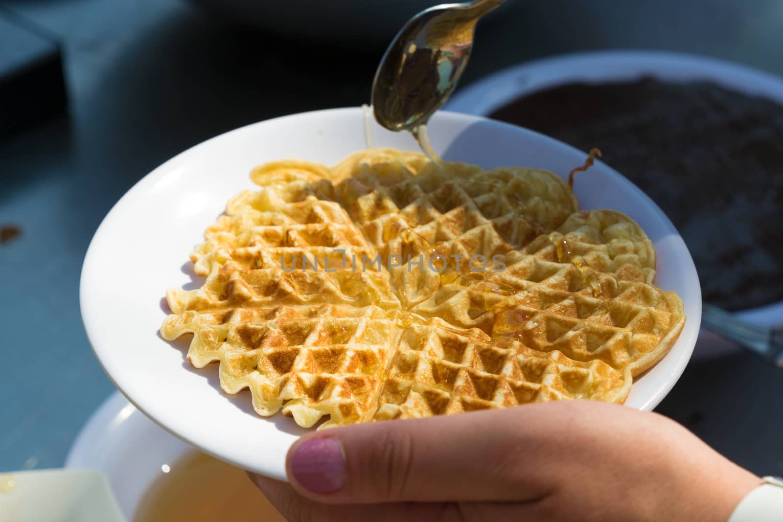 Waffles on a plate sprinkled with honey