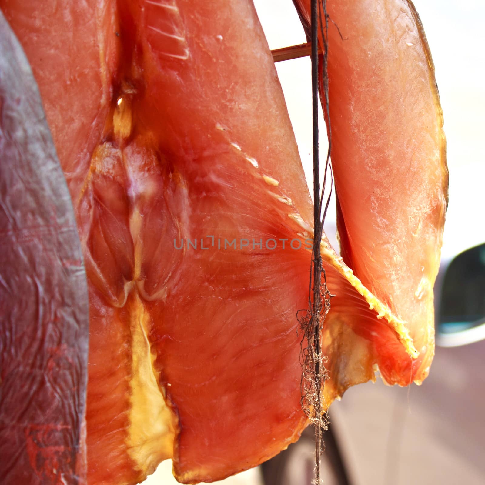 giant Catfish in Thailand market.