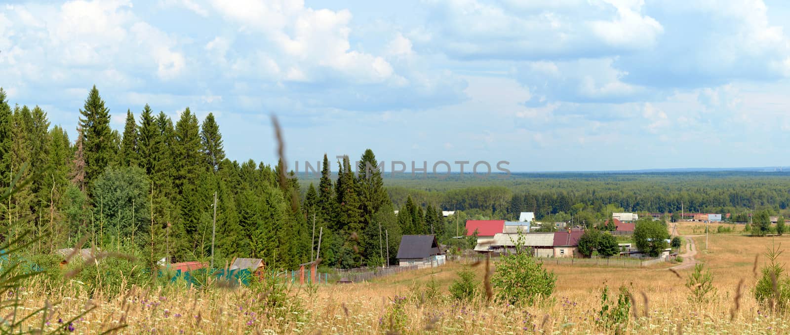 View from the hill to the village houses in the mixed forest